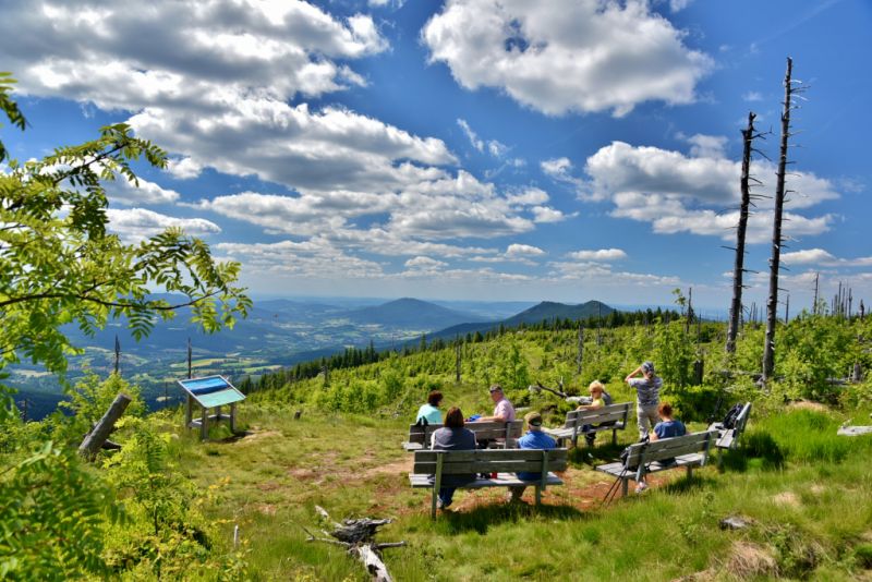 Zwercheck, Lohberg Zwercheck, Lohberg