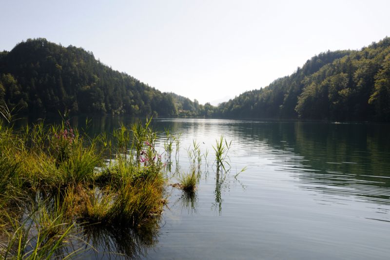 Alatsee, Füssen Alatsee, Füssen