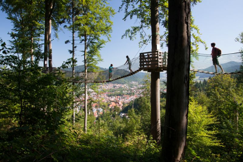 Baumkronenweg und Riesenröhrenrutsche, Waldkirch