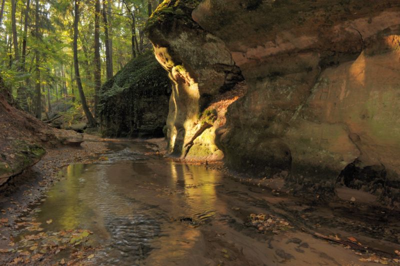 Bitterbachschlucht, Lauf an der Pegnitz