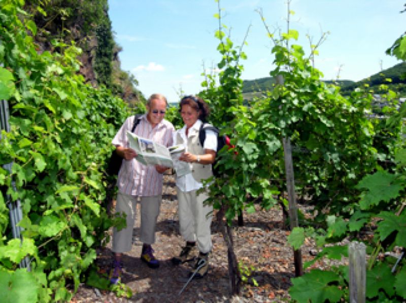 Erlebnisweg Moselkrampen, Cochem