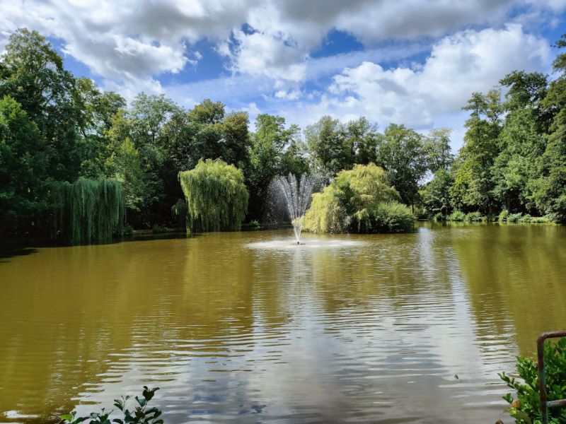 Erlenteich, Alsfeld Erlenteich, Alsfeld