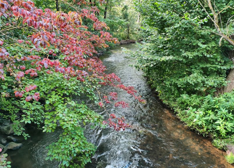 Fluss Losse, Kaufungen