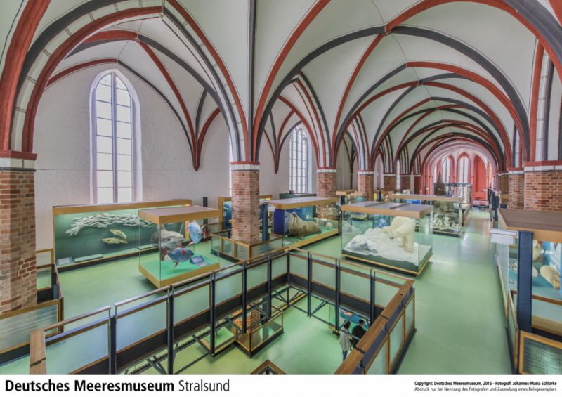 Deutsches Meeresmuseum, Stralsund Deutsches Meeresmuseum, Stralsund