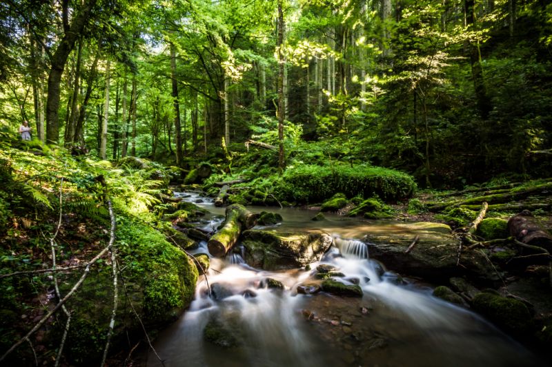 - © Nördlicher Schwarzwald