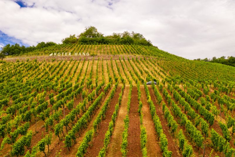 Roter Hang, Nierstein