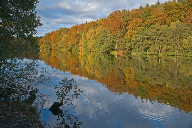 Schmalsee, Mölln Schmalsee, Mölln