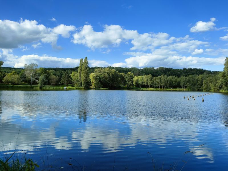 Steinertsee, Kaufungen