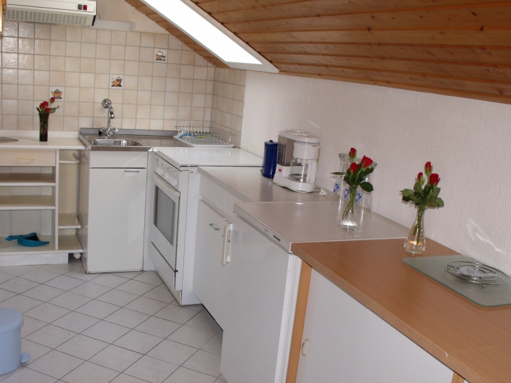 Der Küchenbereich mit Küchenzeile und allen notwendigen Geräten und Utensilien.