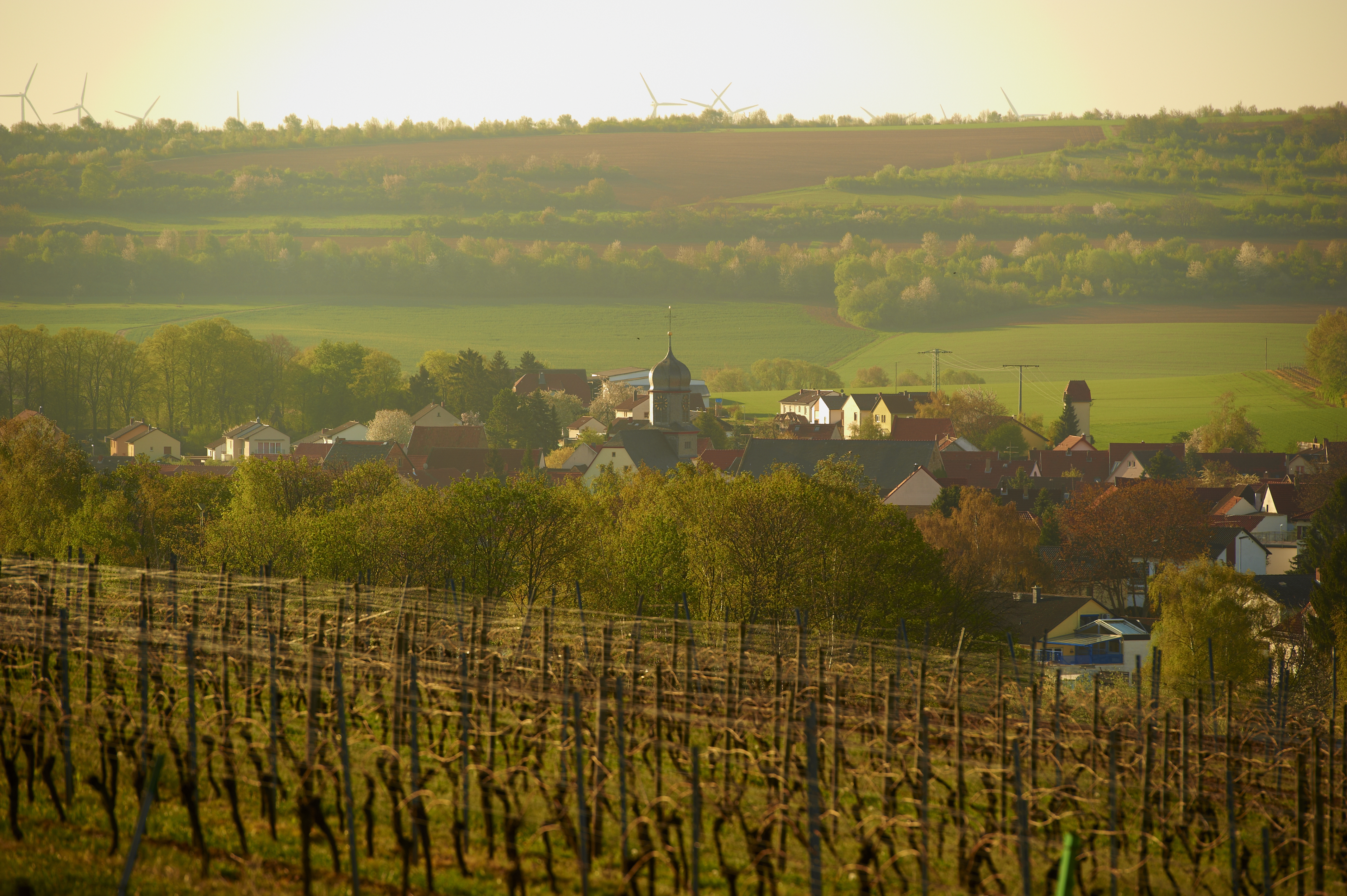 Die Landschaft um den Alzeyer Ortsteil Weinheim im Frühling.
