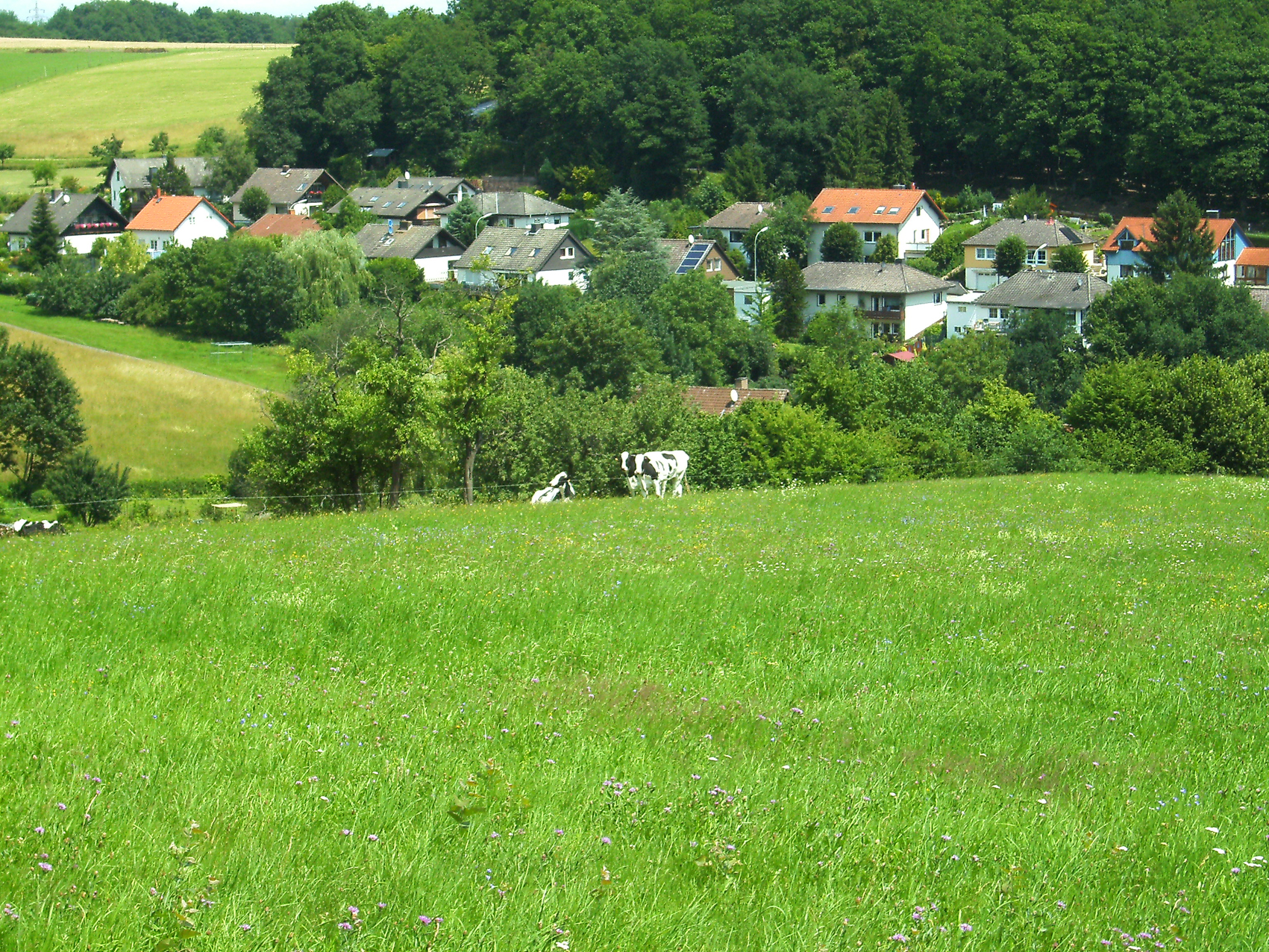 Blick auf Wippenbach (OT von Ortenberg).