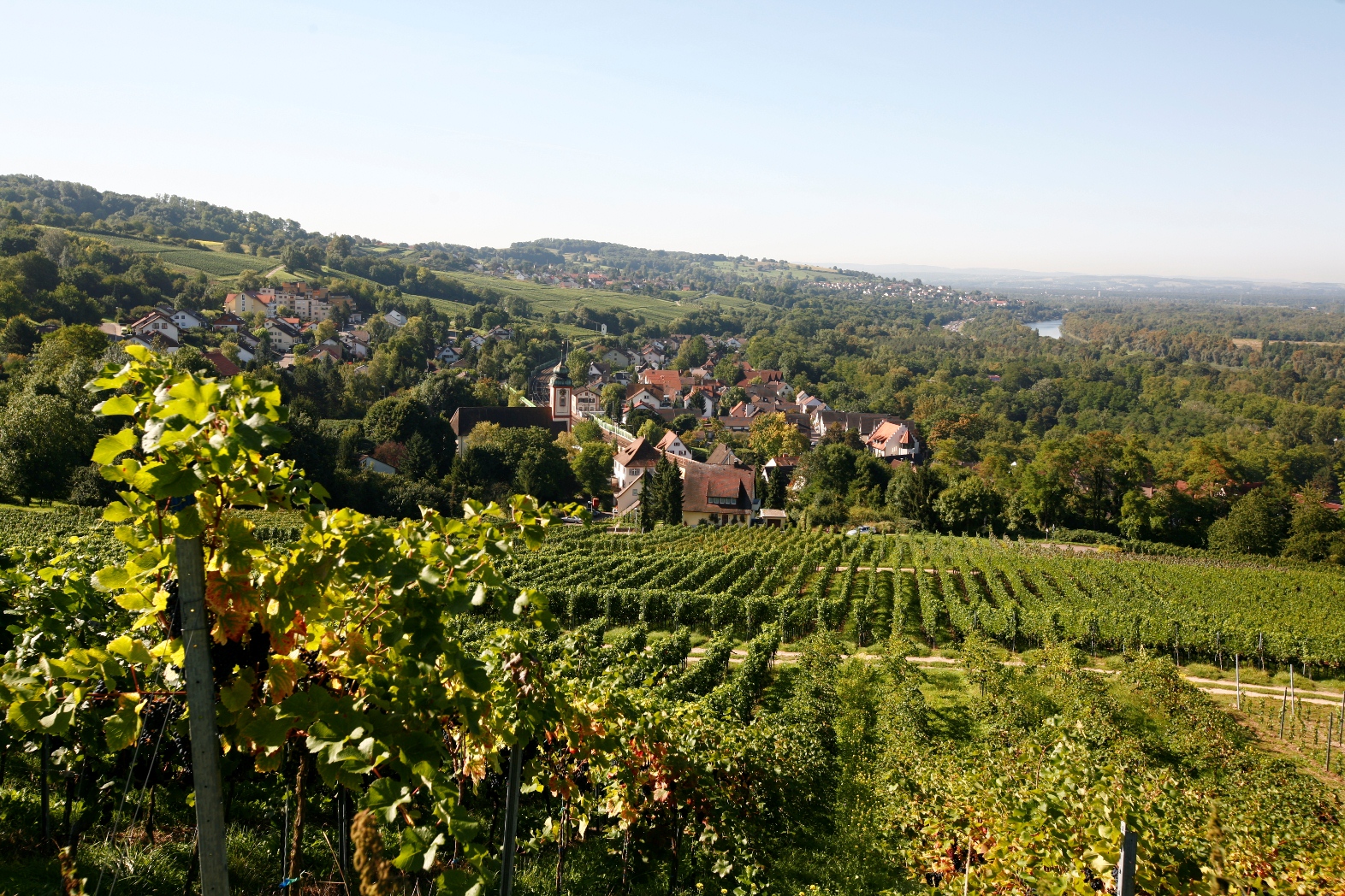 Ortsansicht von Bad Bellingen.
