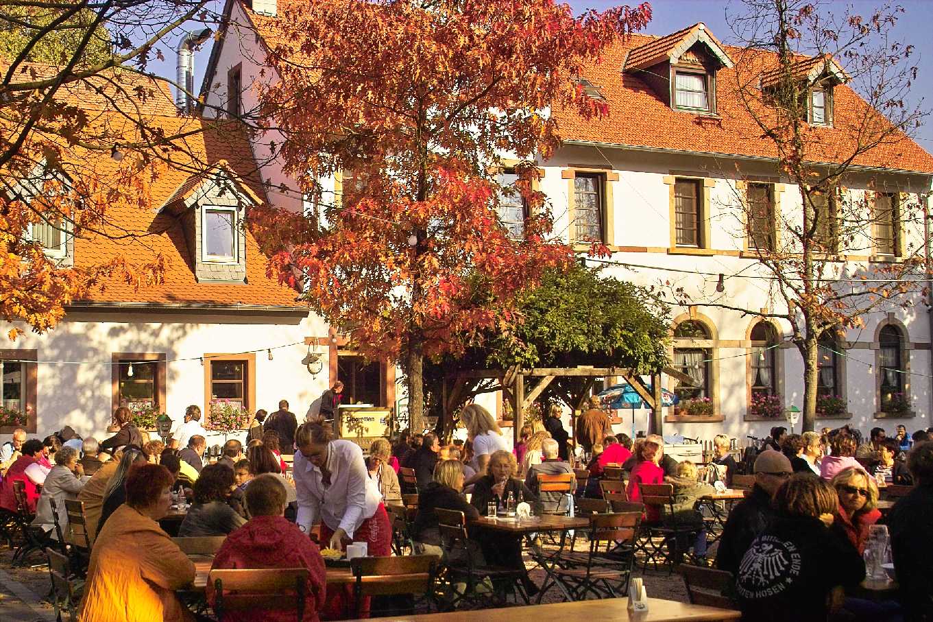 Biergarten vom Bremerhof, Kaiserslautern.
