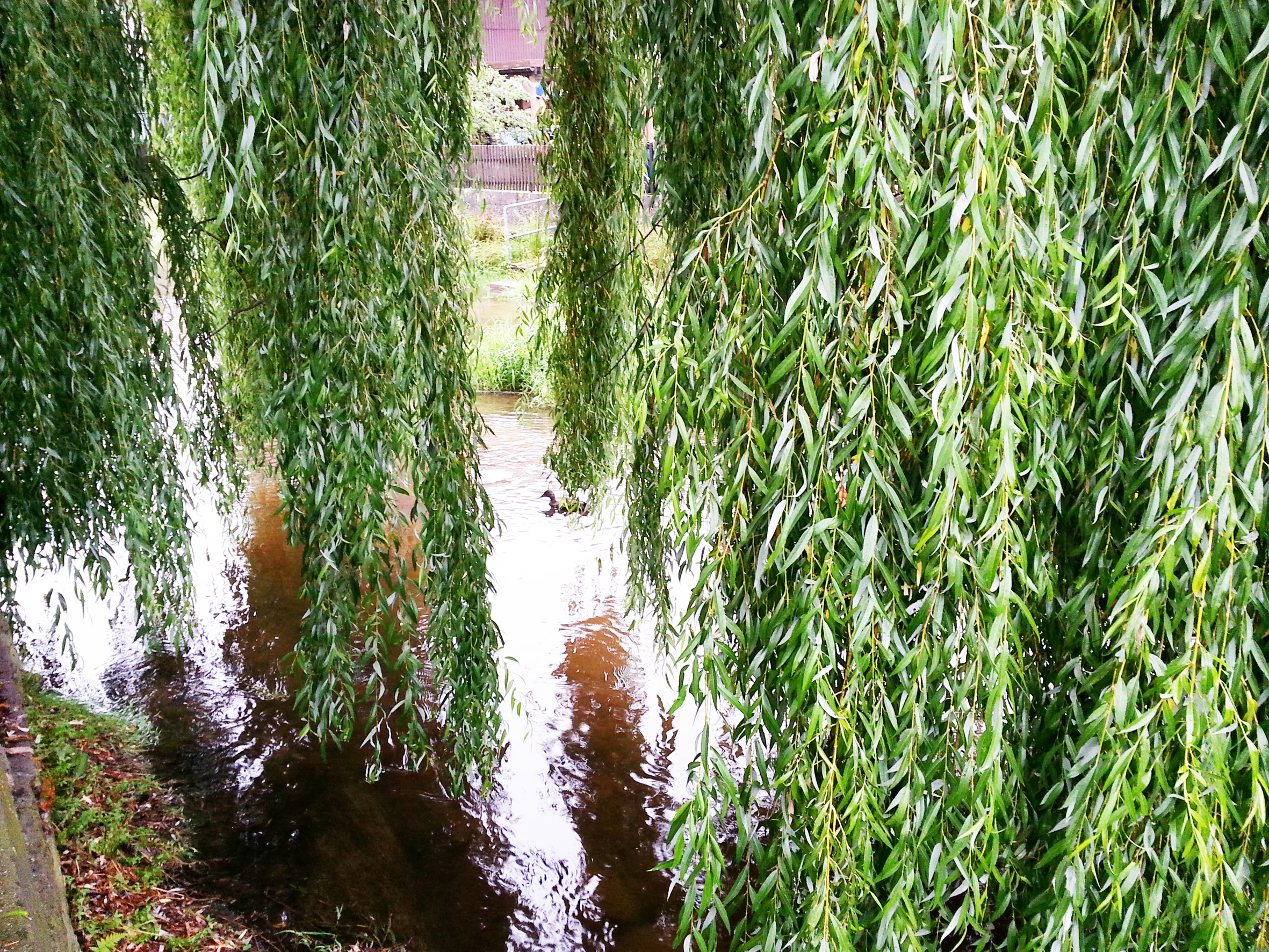 Der idyllische Biergarten vom Zum Jossatal wird von beiden Seiten von der Jossa umflossen.
