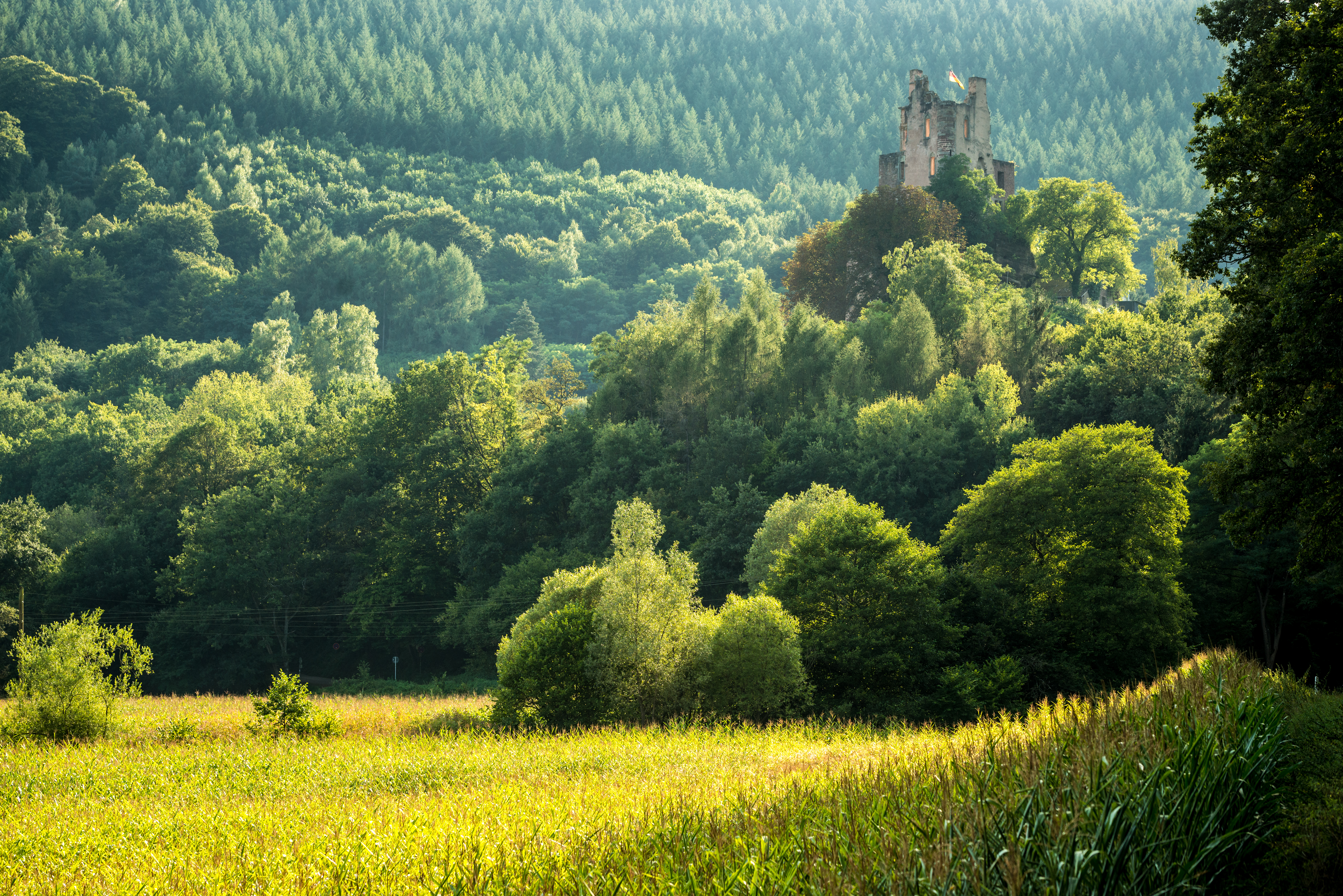 Blick auf Burg Ramstein, Kordel.
