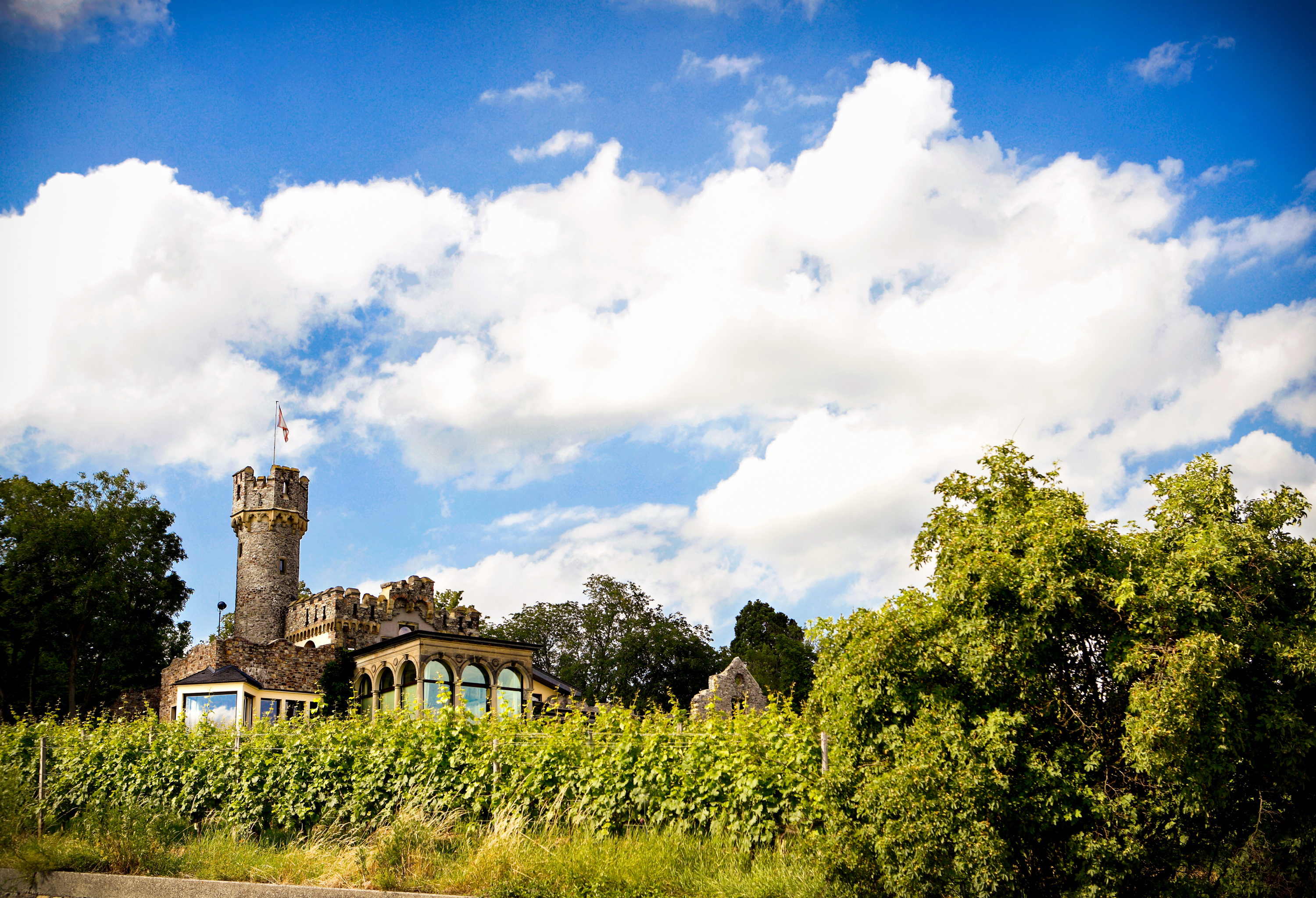 Burghotel Schwarzenstein, Geisenheim.
