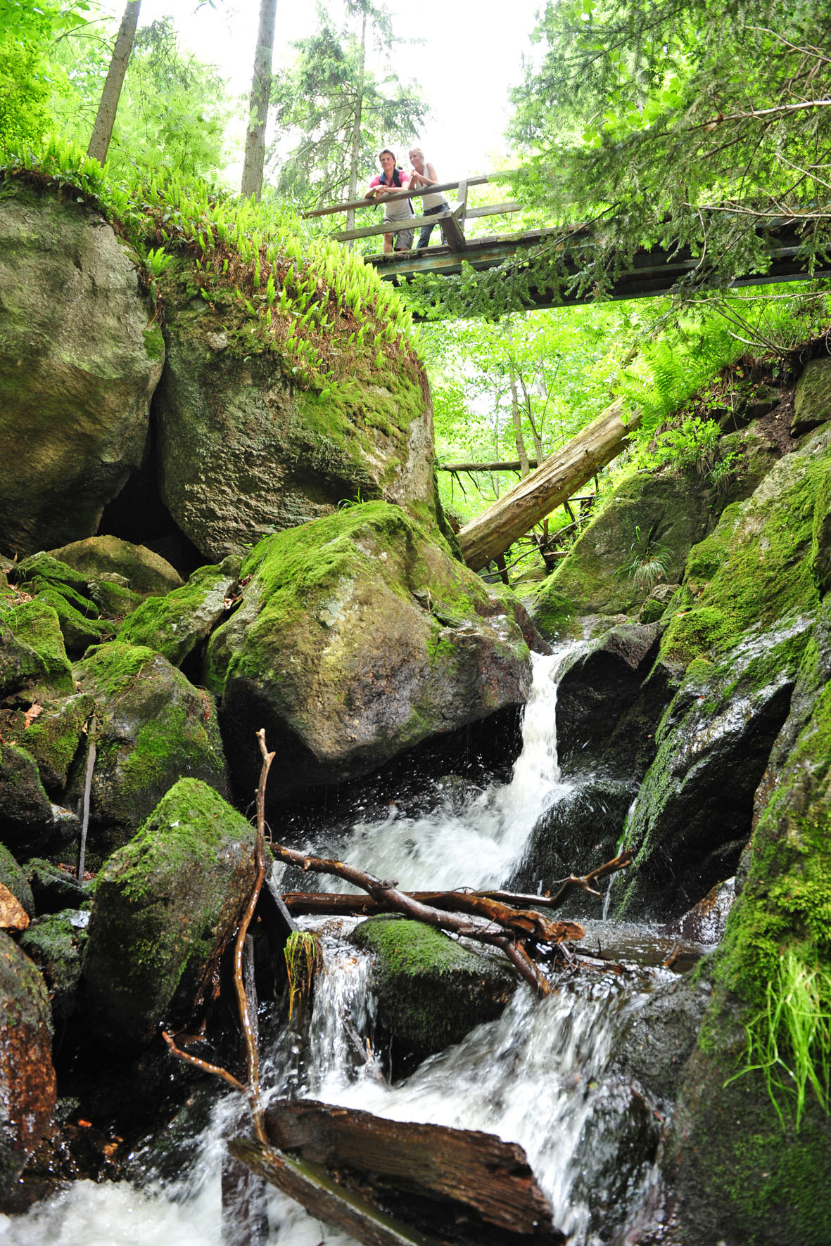 Das idyllische Ysper-Weitental in Niederösterreich.
