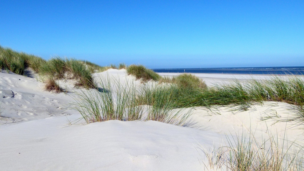 Dünen und Strand auf Baltrum.
