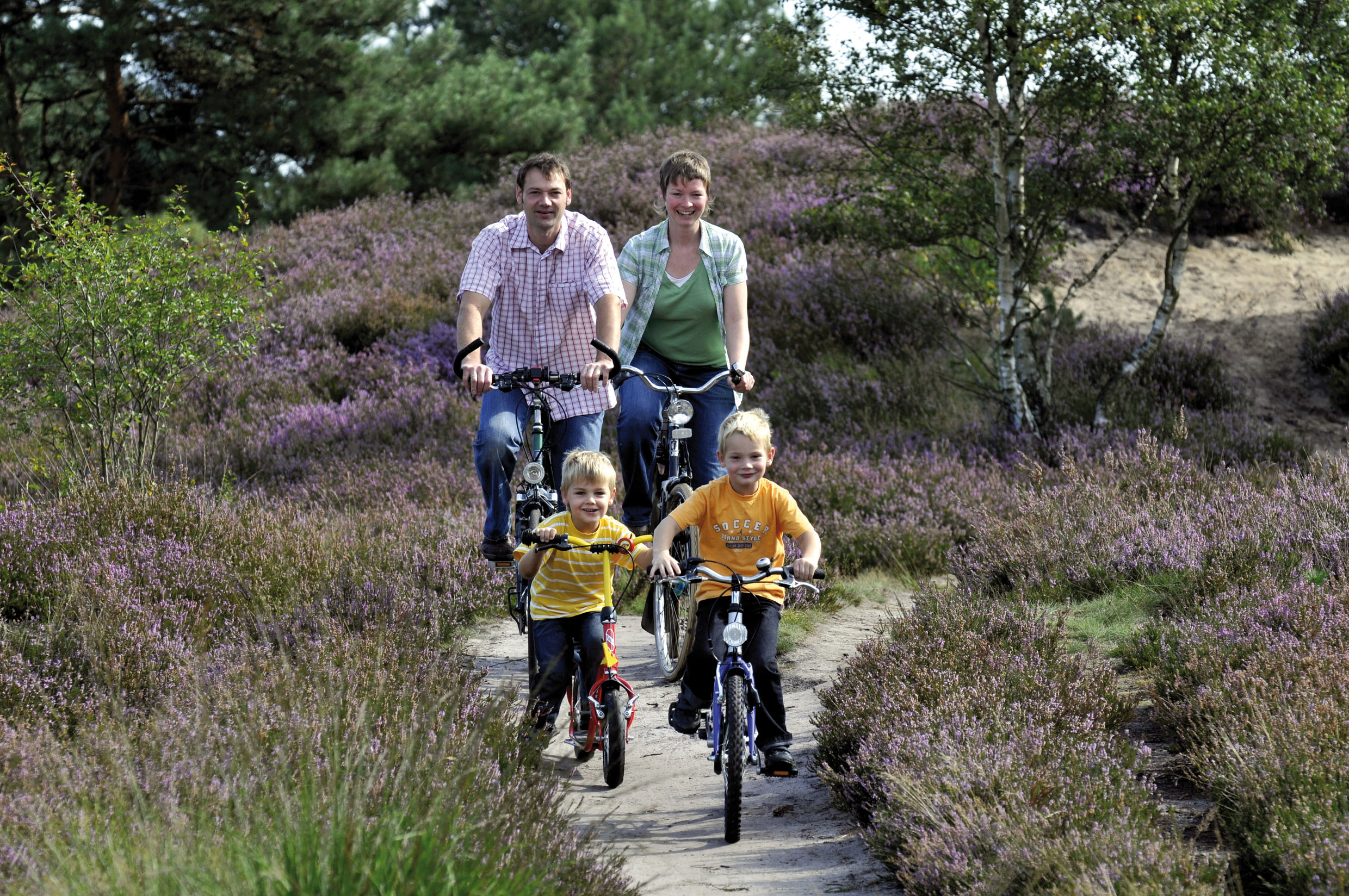 Südheide Gifhorn - Familie bei der Fahrradtour durch die wunderschöne Heide.
