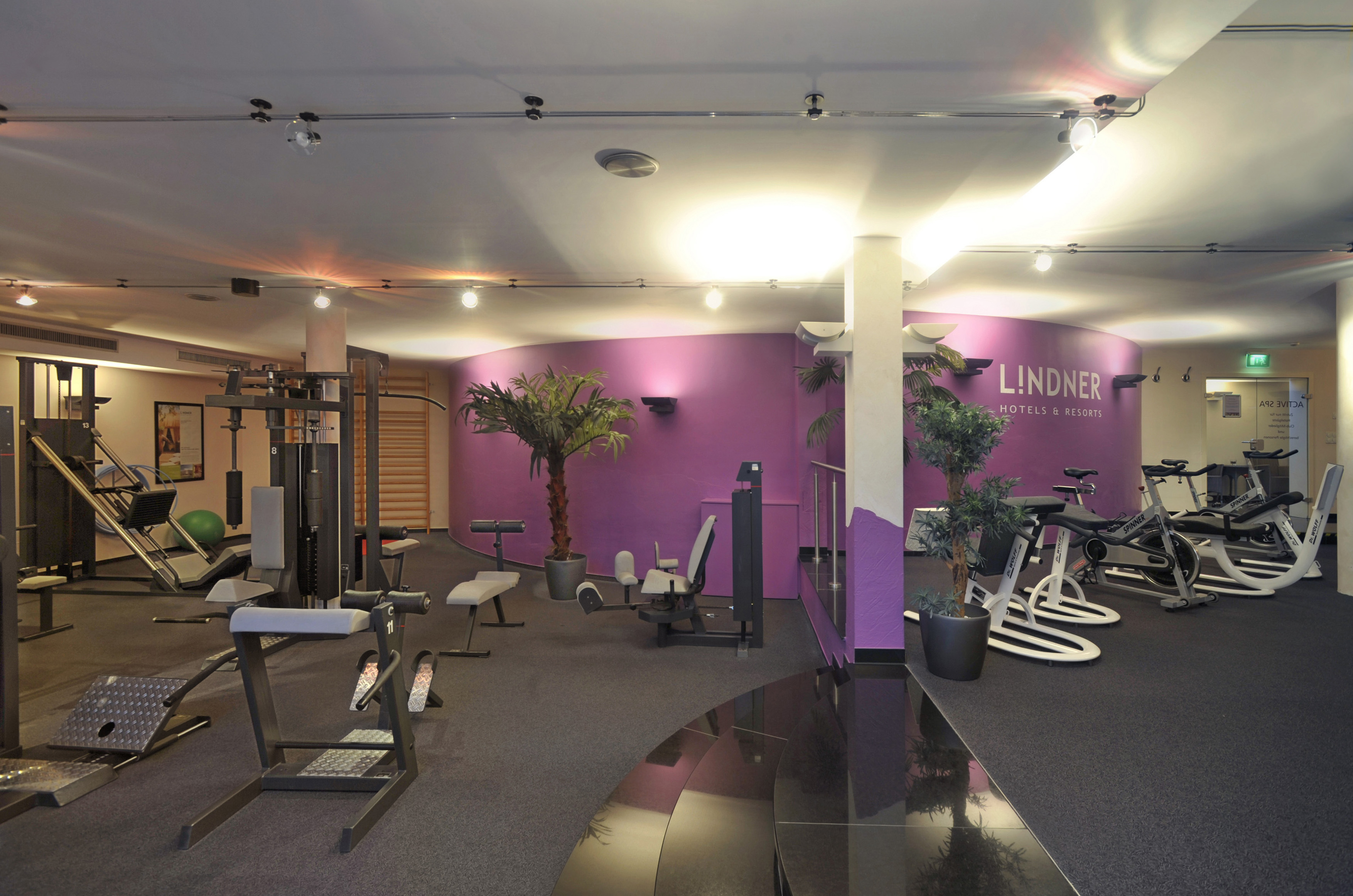 Fitnessraum des Lindner Hotel Binshof Speyer.