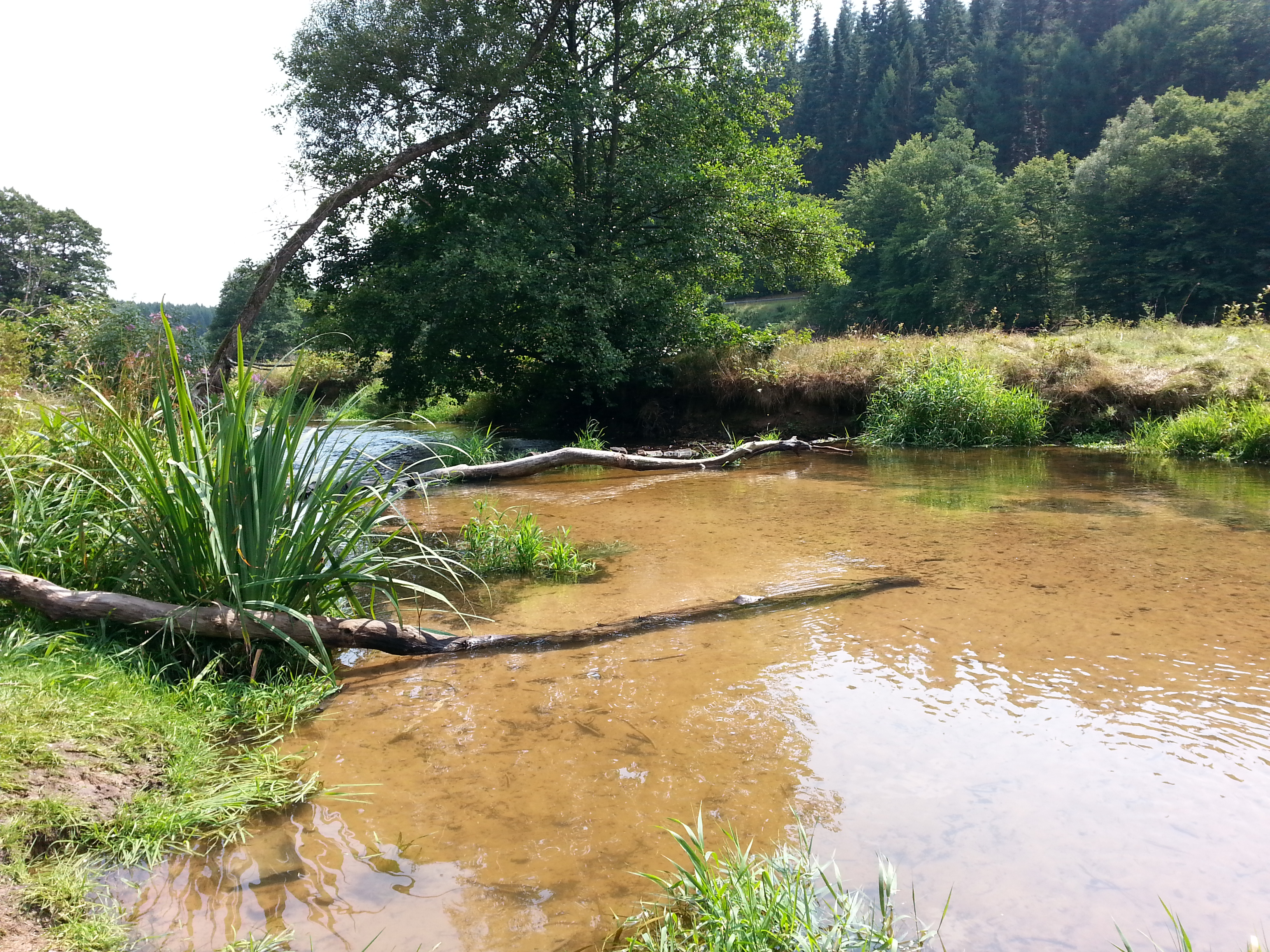 Der Fluss Jossa bei dem gleichnamigen Sinntaler Ortsteil Jossa.
