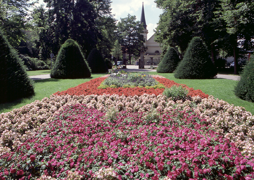 Blütenpracht im Französischen Garten Celle