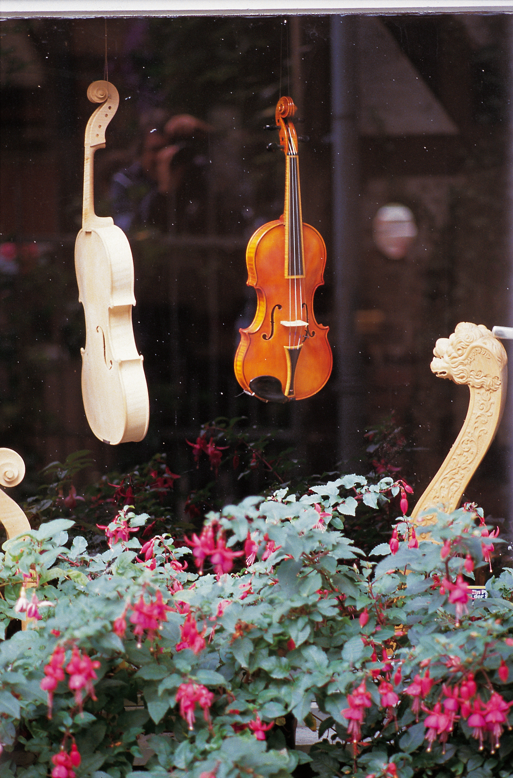 Geigen in der Schuhstrasse in der Celler Altstadt