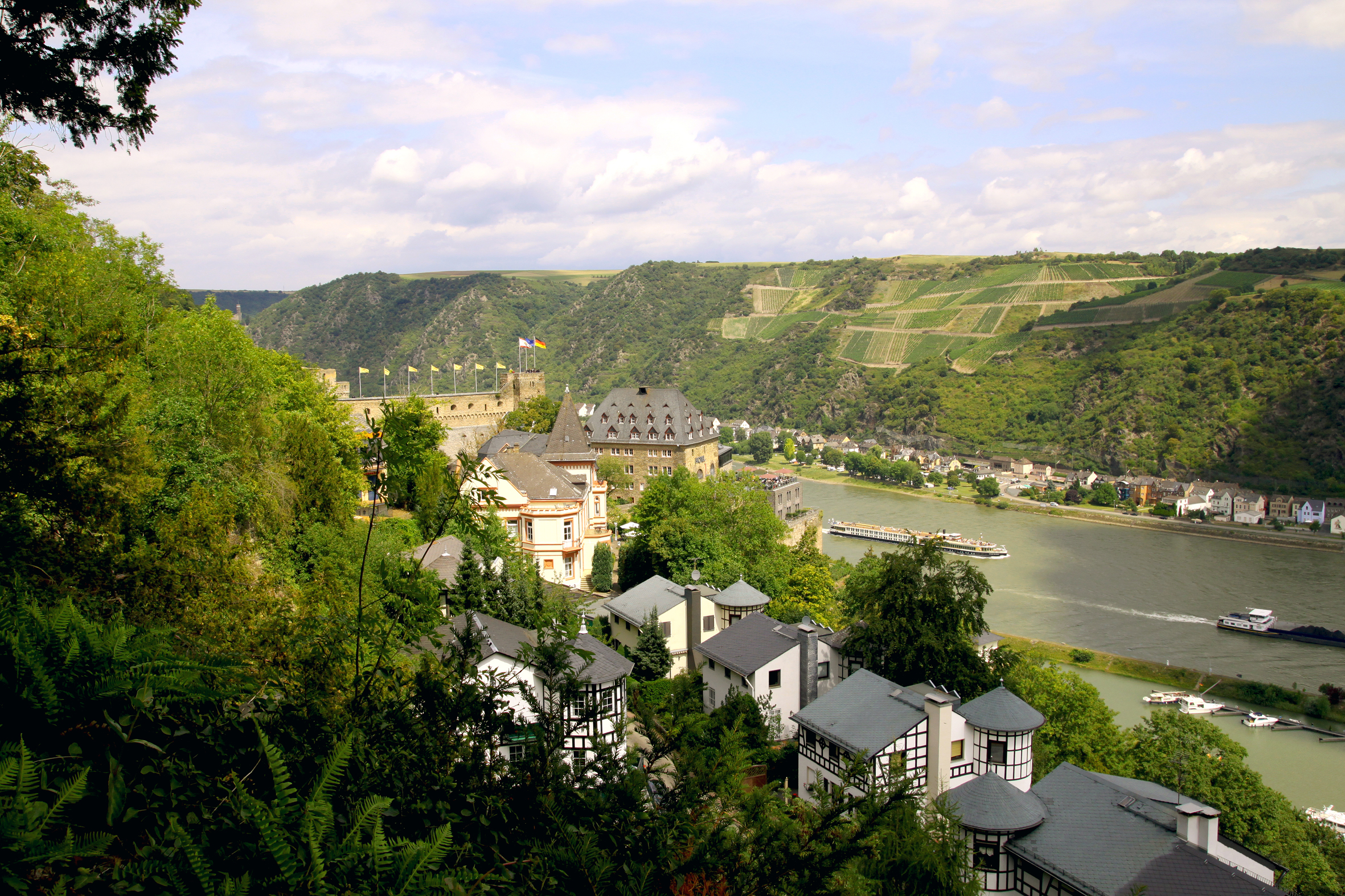 Blick Gut Rheinfels auf Schloss.
