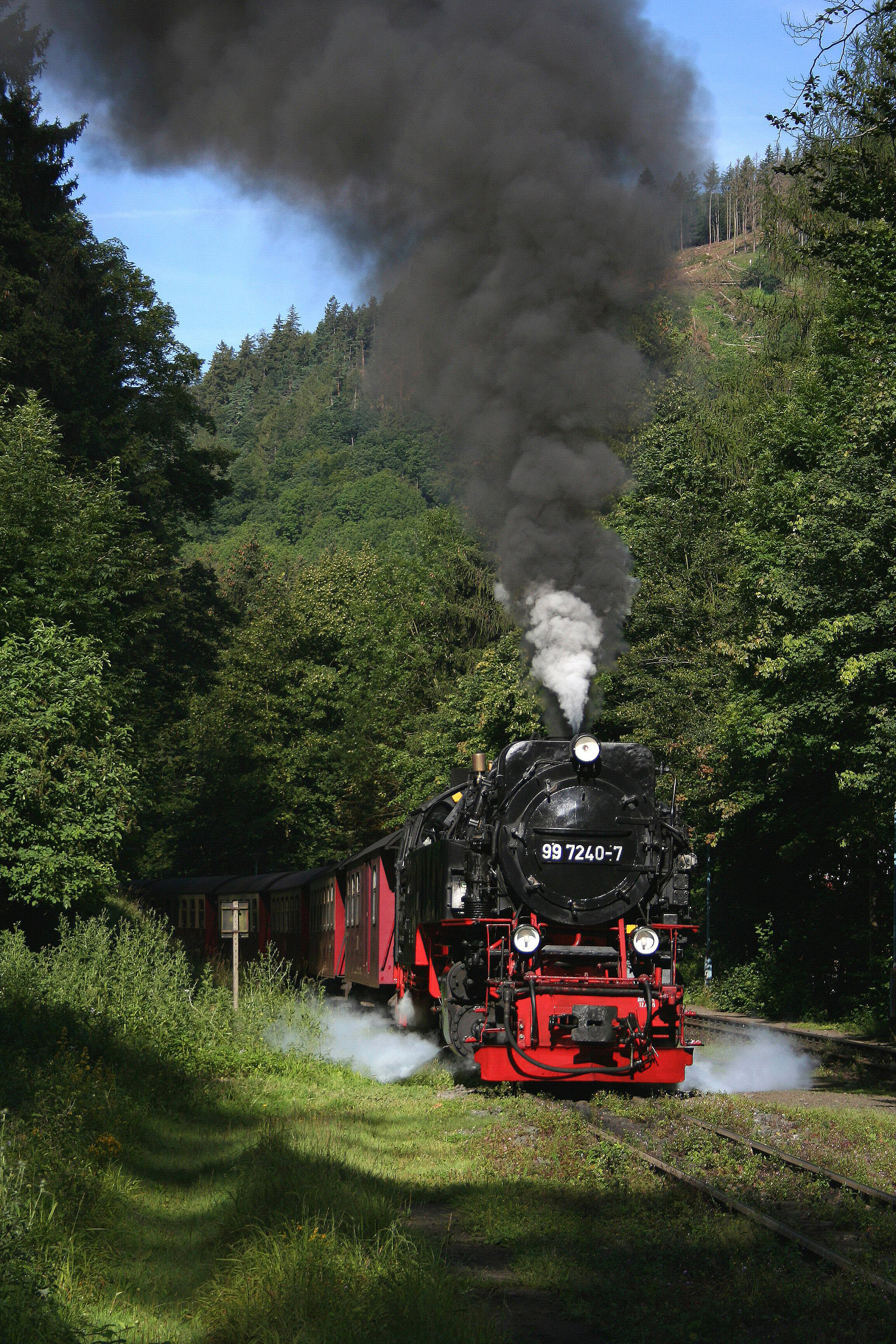 Die Harzer Schmalspurbahn.
