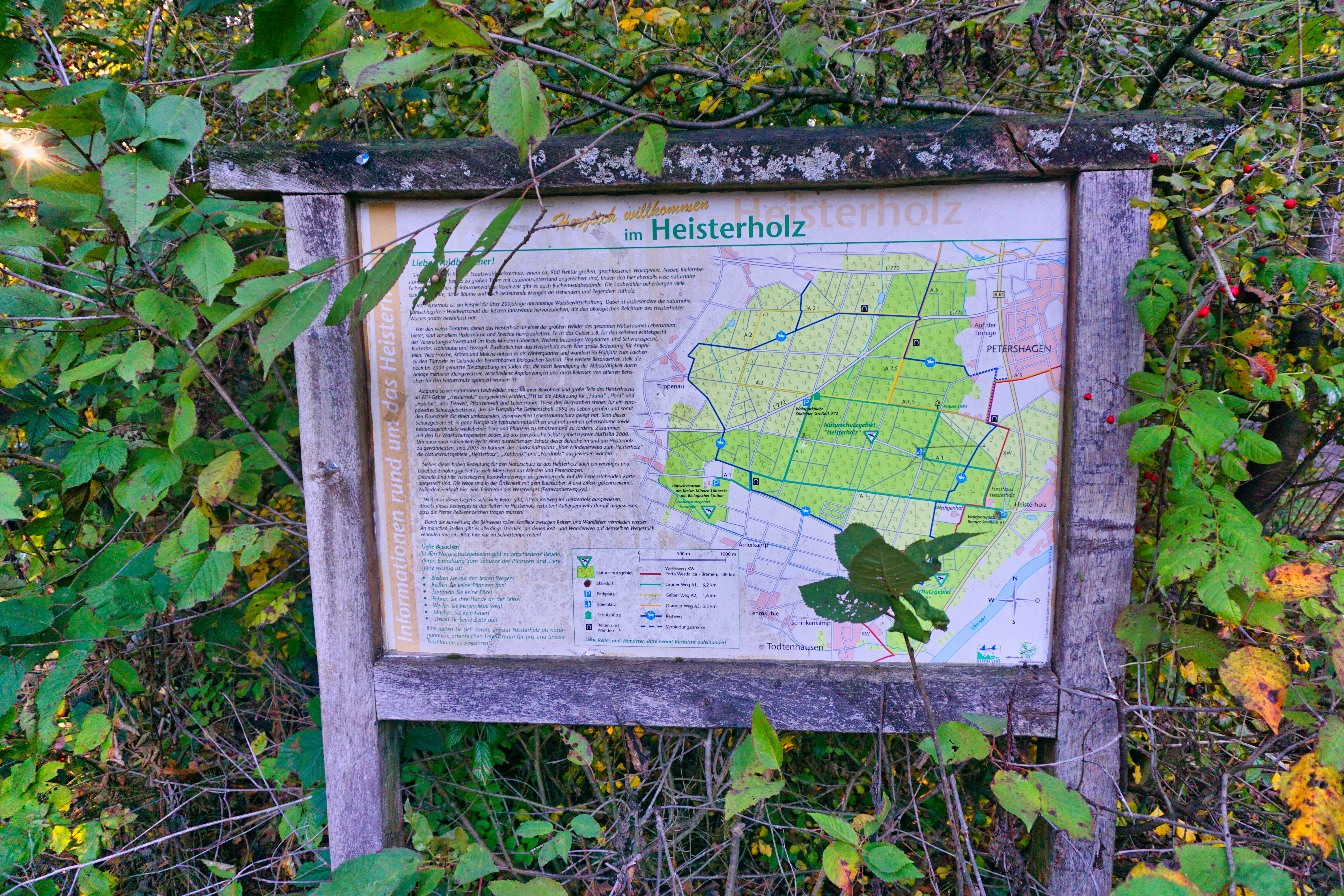 Info-Tafel Naturschutzgebiet Heisterholz, Petershagen.