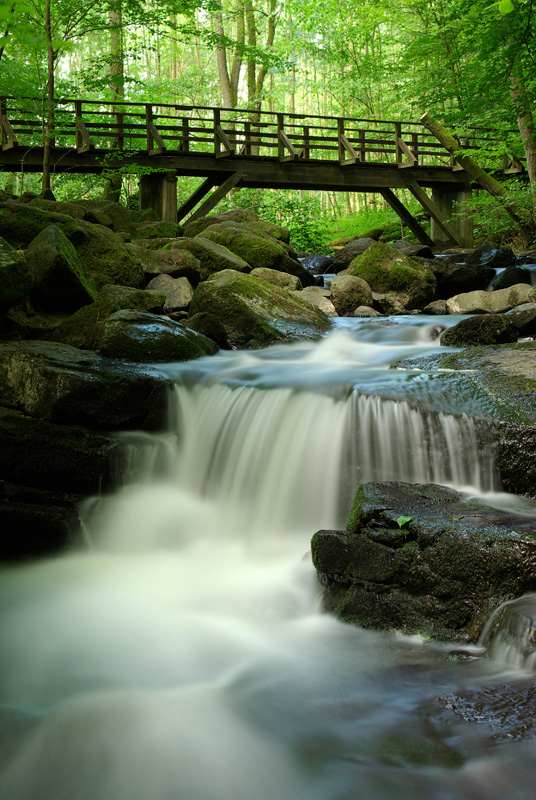 Die Holzbachschlucht im Westerwald.