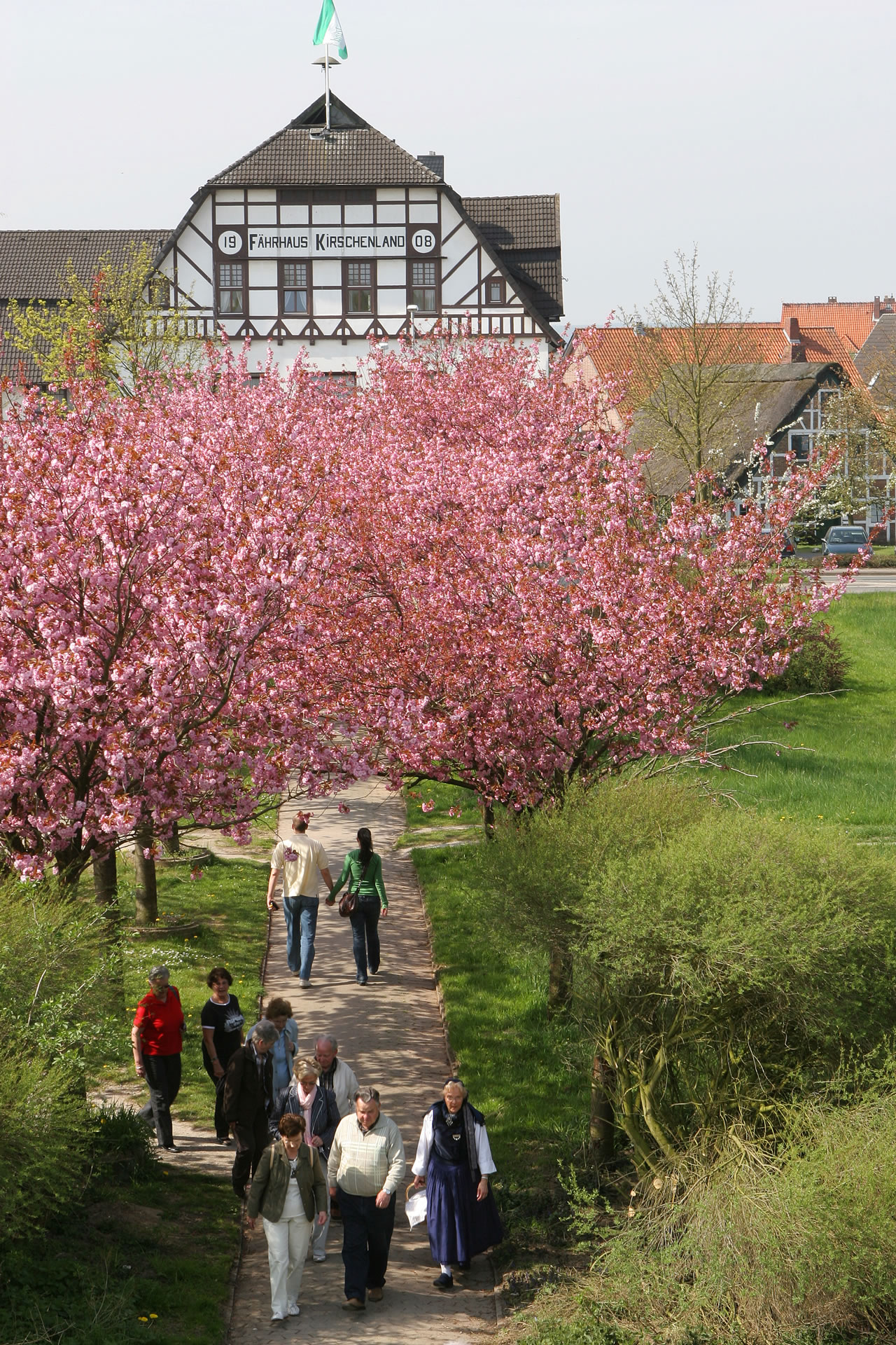 Hotel Fährhaus Kirschenland bei voller Kirschblüte.
