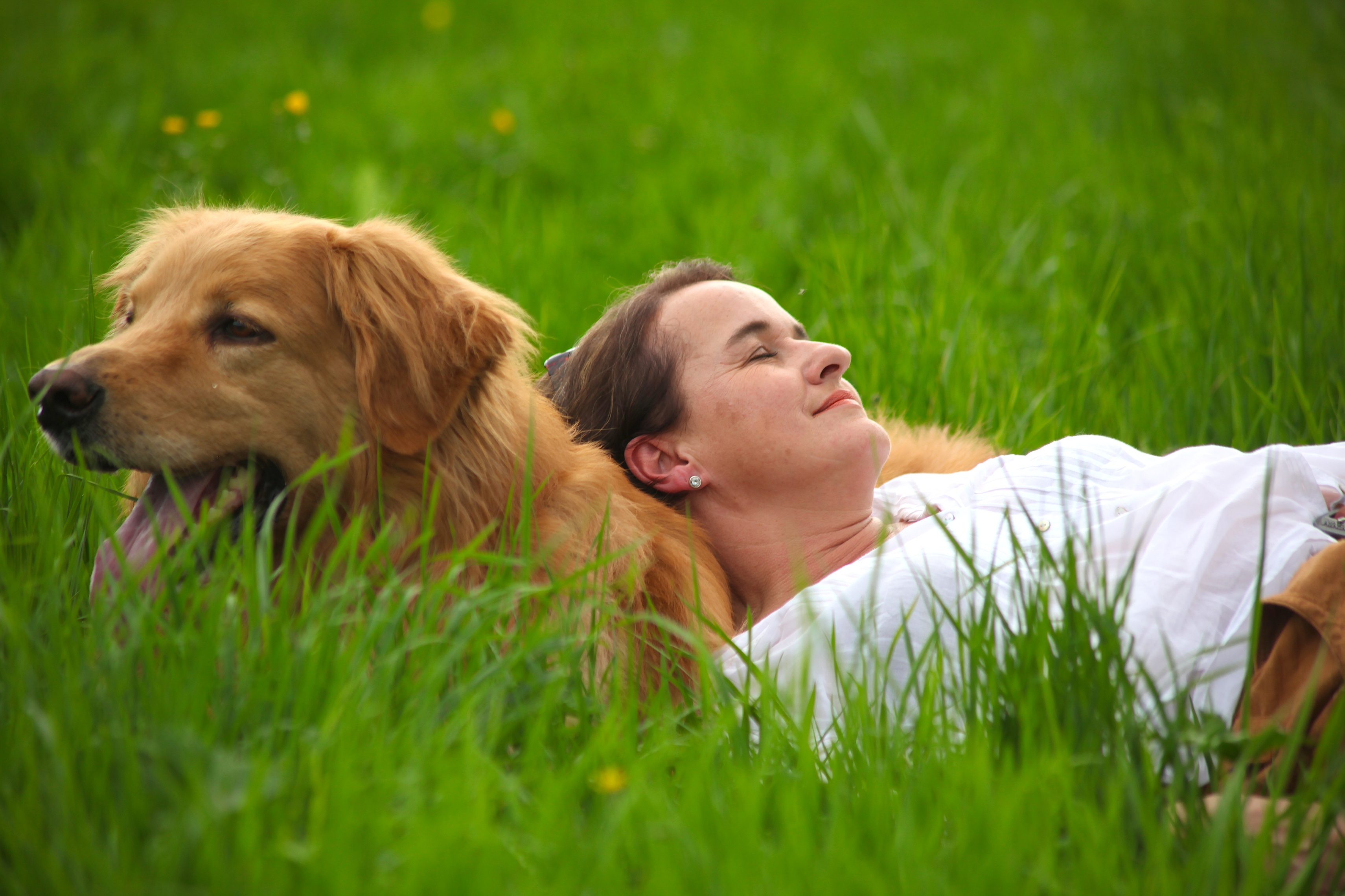 Gäste genießen im Pharisäerhof eine Aus­zeit mit ihrem Hund.
