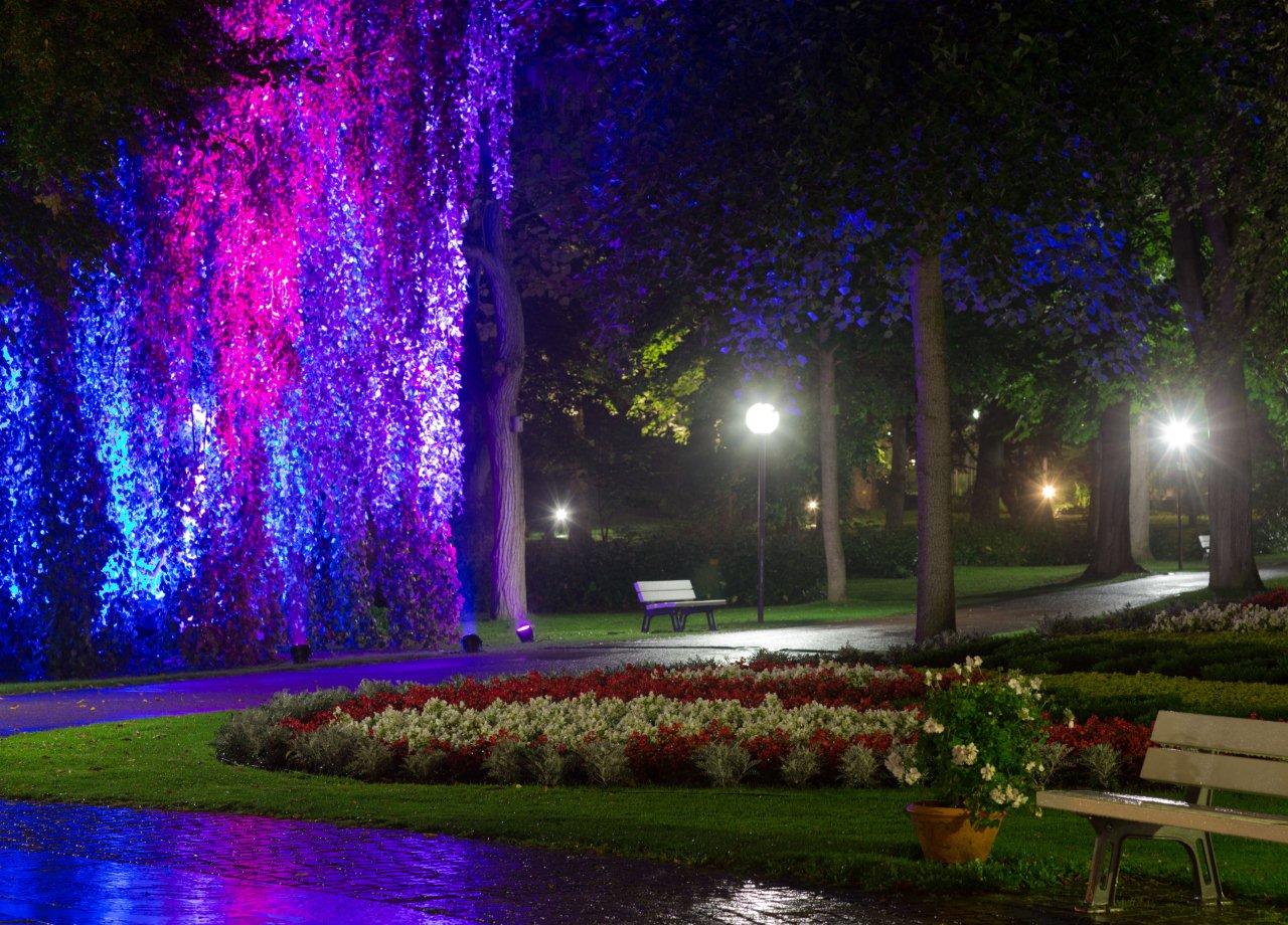 Der Kurpark von Bad Mergentheim mit illuminierten Bäumen durch Wolfram Lenssen.

