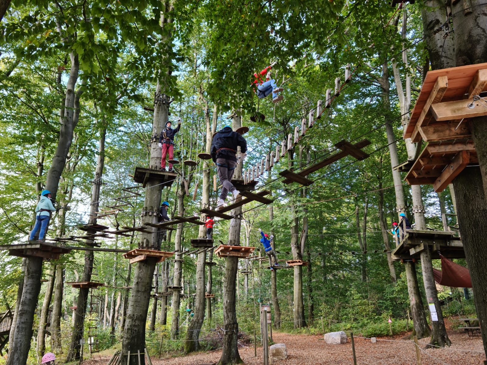 Kletterwald Hoherodskopf