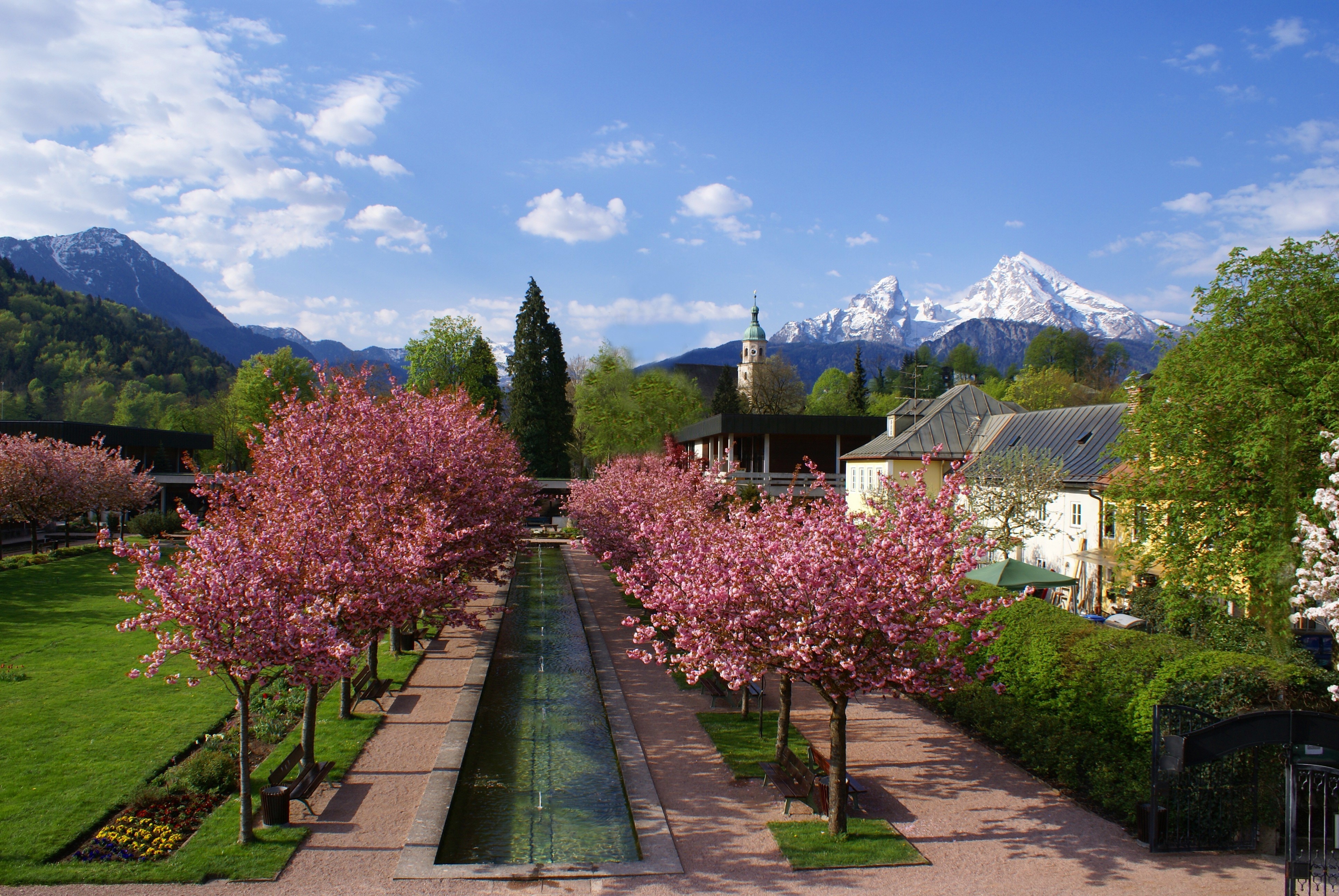 Der Kurgarten Berchtesgaden zur Kirschblüte.
