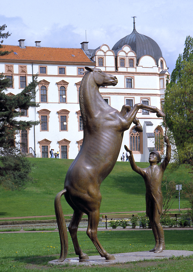 Celle: Mann und Pferd