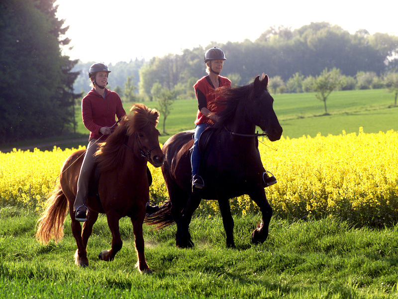 Natururlaub mit dem Pferd in der Region Mittelweser.
