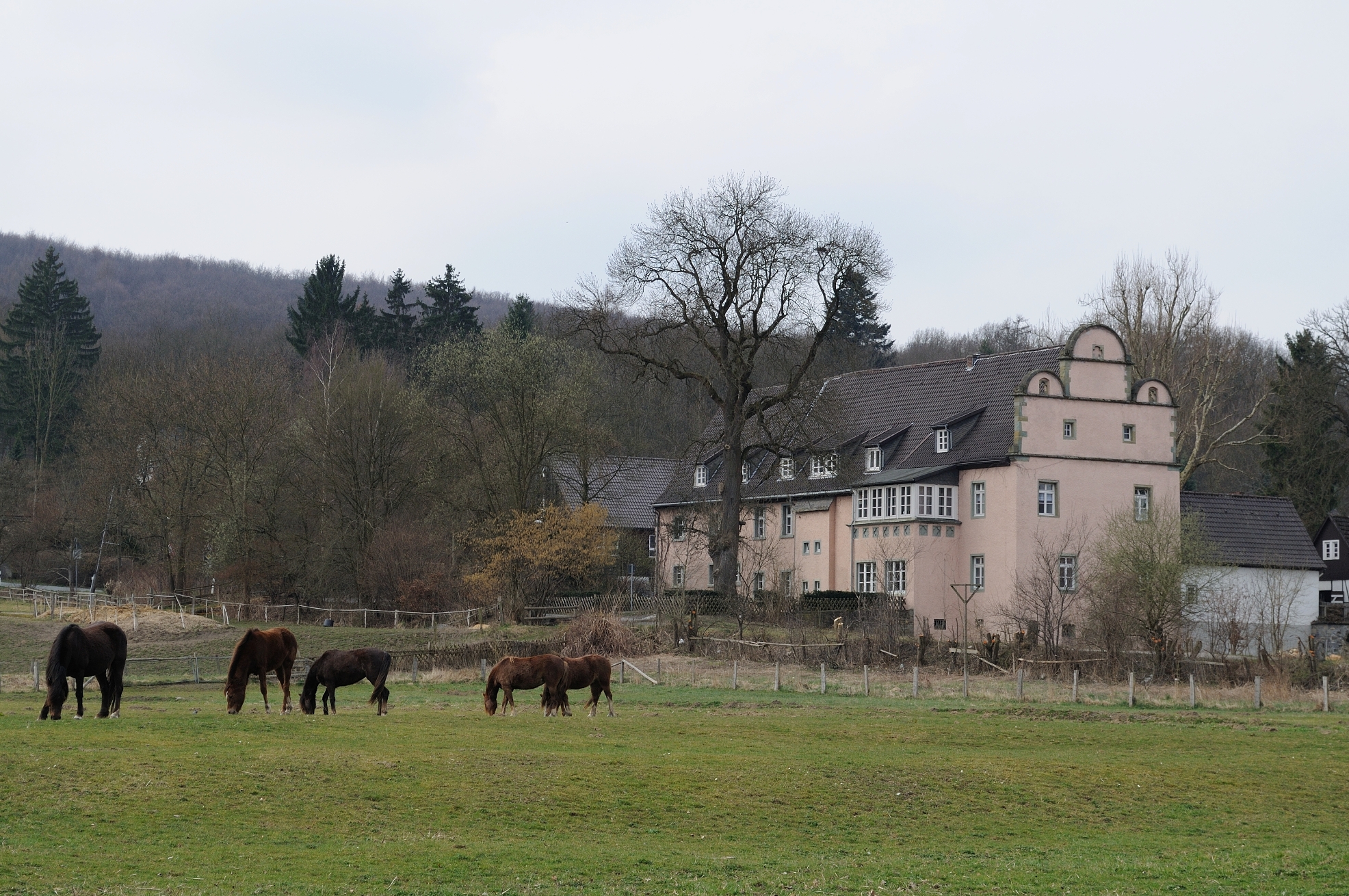 Der Kurfürstlicher Thiergarten Arnsberg mit dem Rittergut Obermeier.
