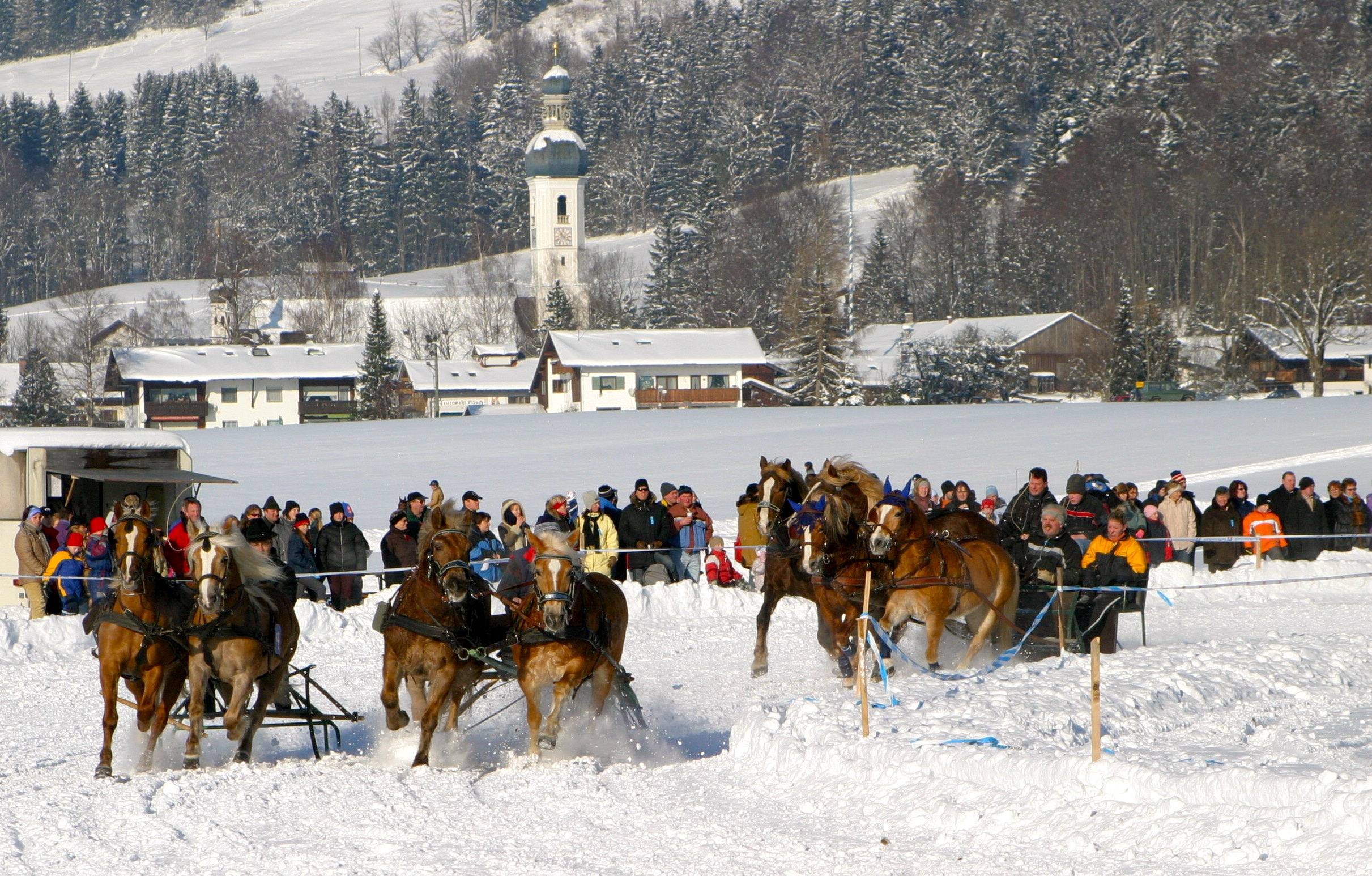 Kaltblüter in der Kurve. Bäuerliche Schlittenrennen haben in Oberbayern eine lange Tradition und erleben derzeit eine Renaissance.
