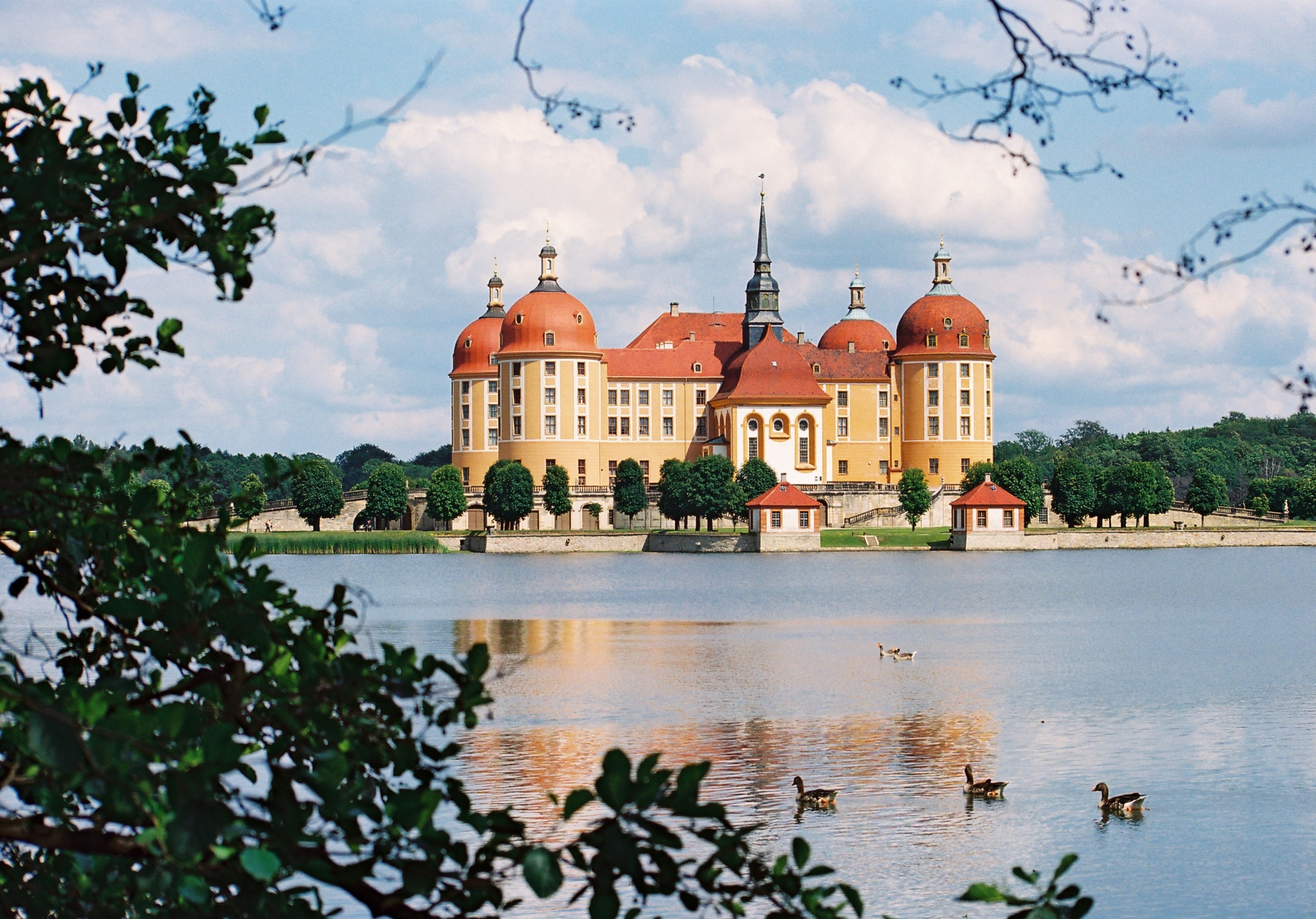 Schloss Moritzburg.
