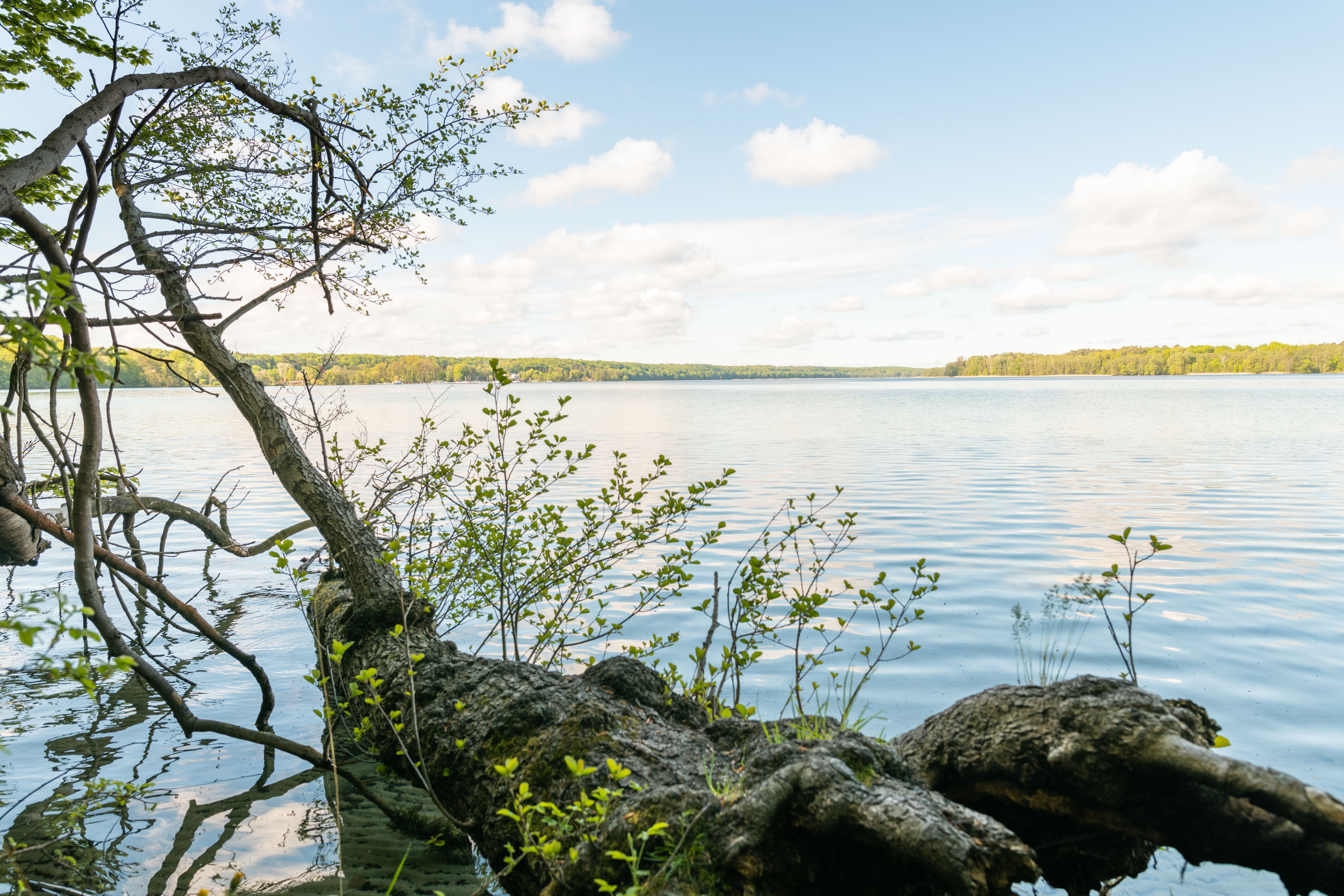 Werbellinsee - seezeit-resort, Joachimsthal.
