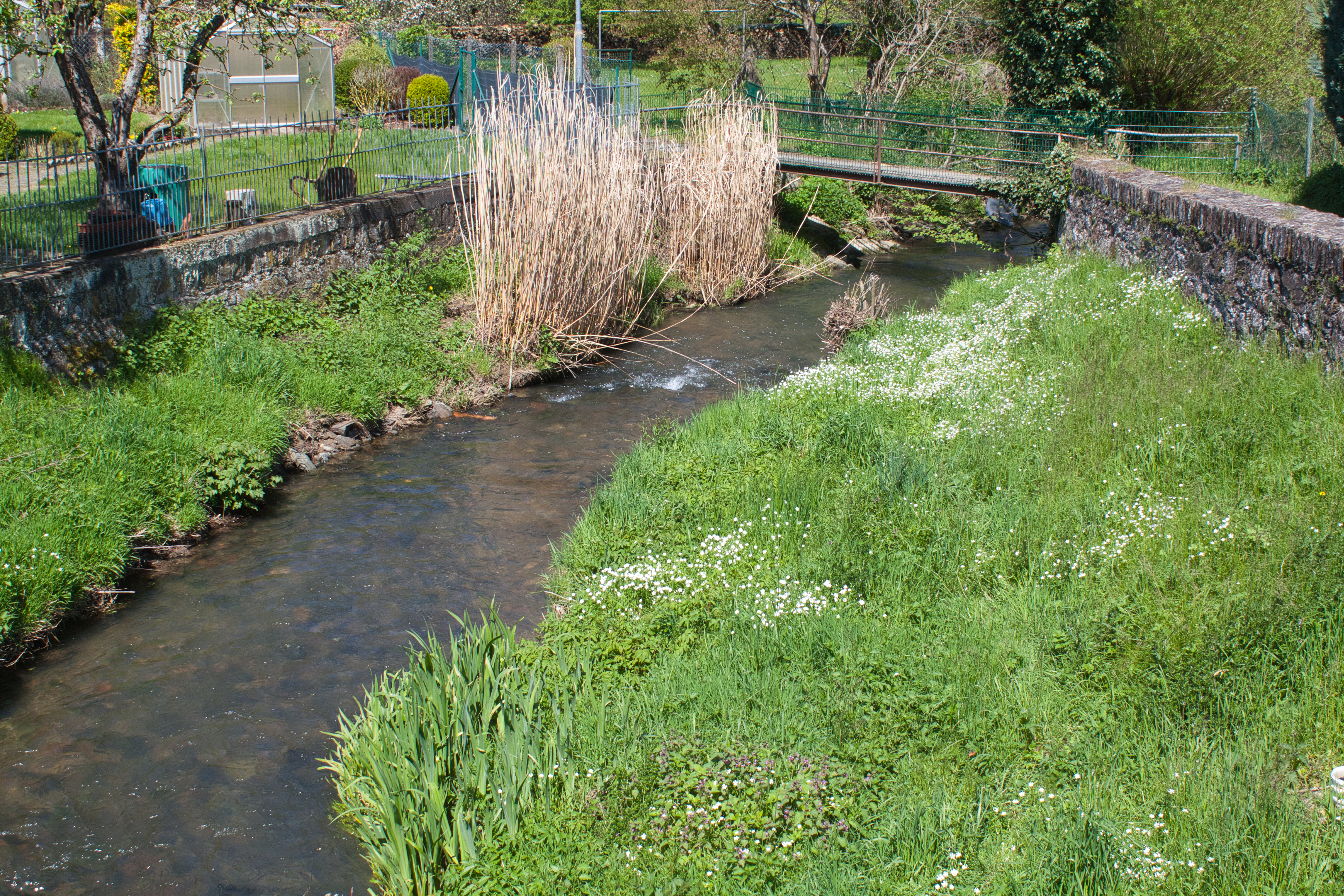 Der Solmsbach in Waldsolms Kraftsolms.
