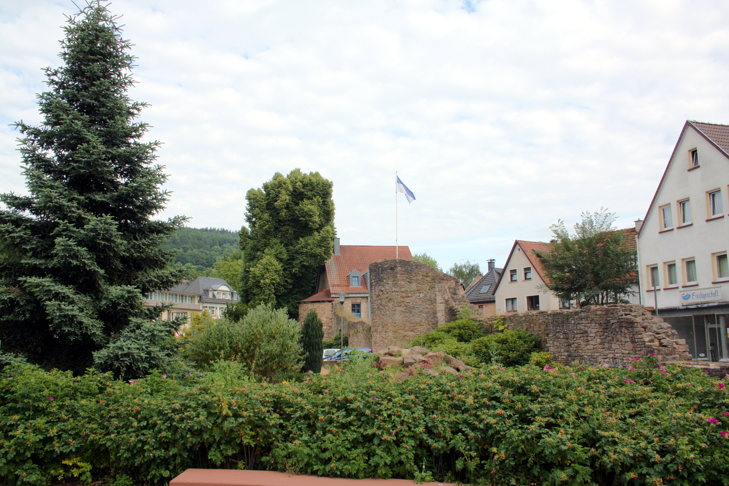 Die historische Stadtmauer von Bad Orb.