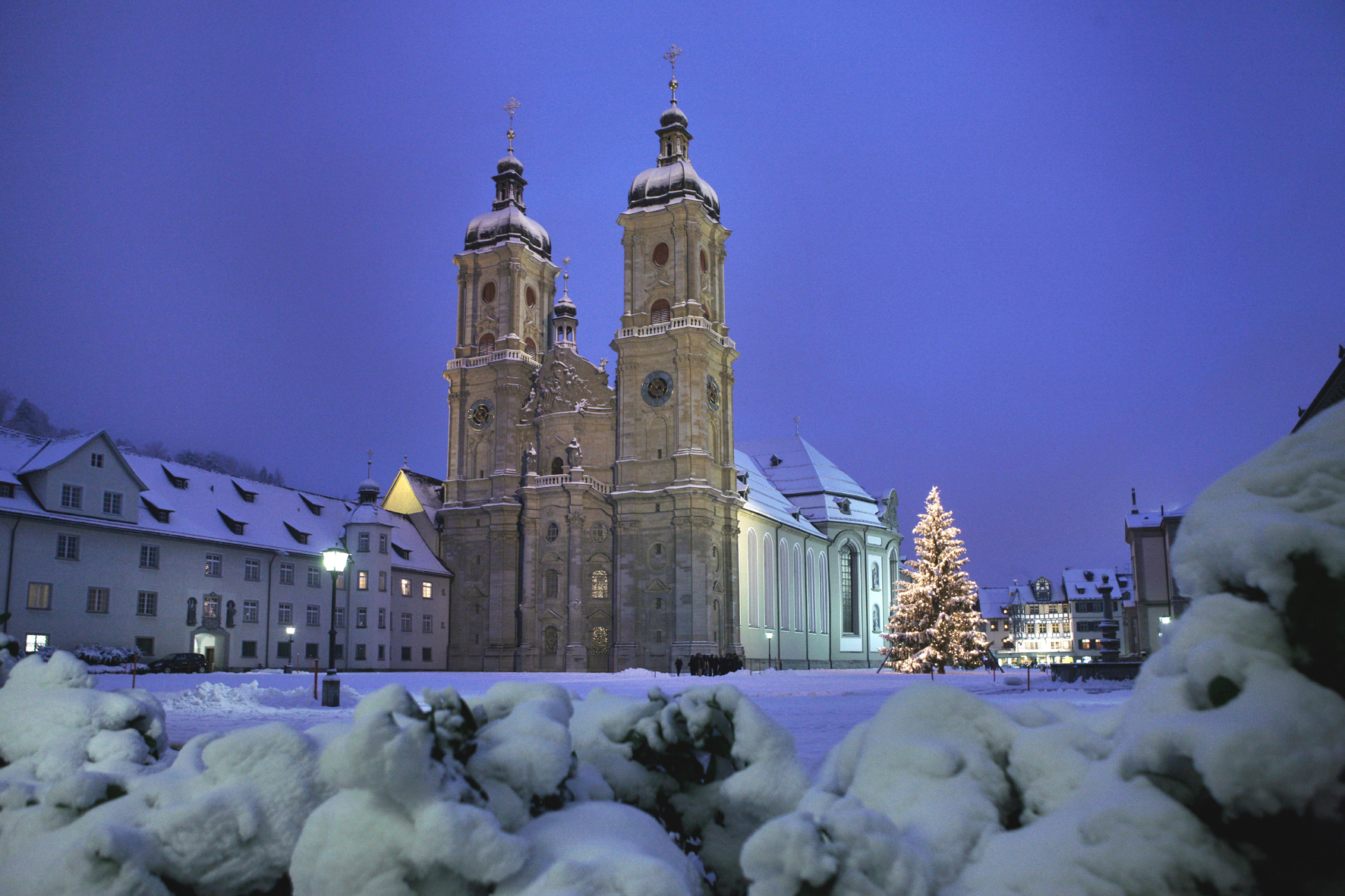 Der große Weihnachtsbaum im St.Galler Stiftsbezirk mit der Stiftskirche St. Gallen.

