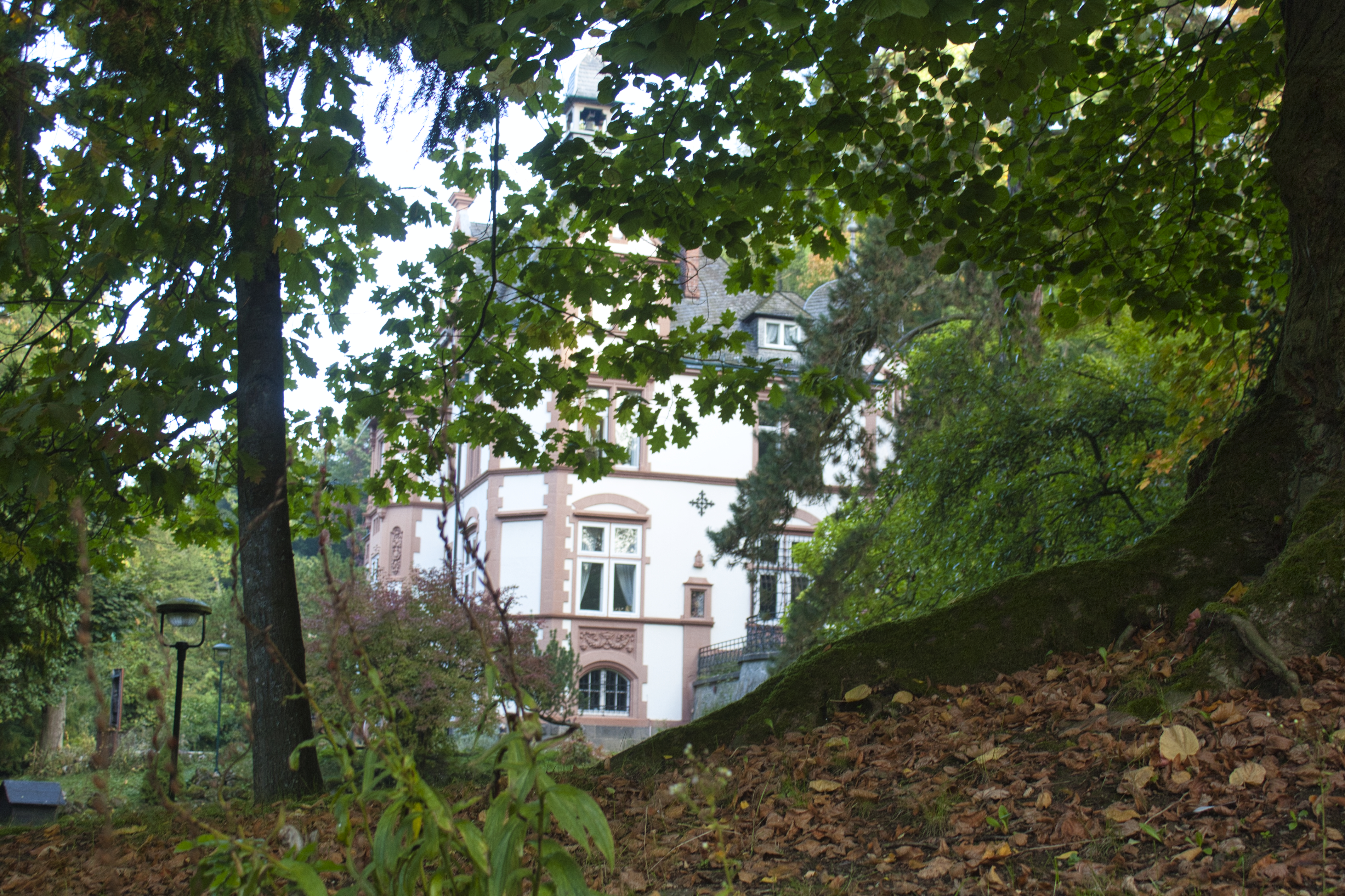 Villa Haas in Sinn.

