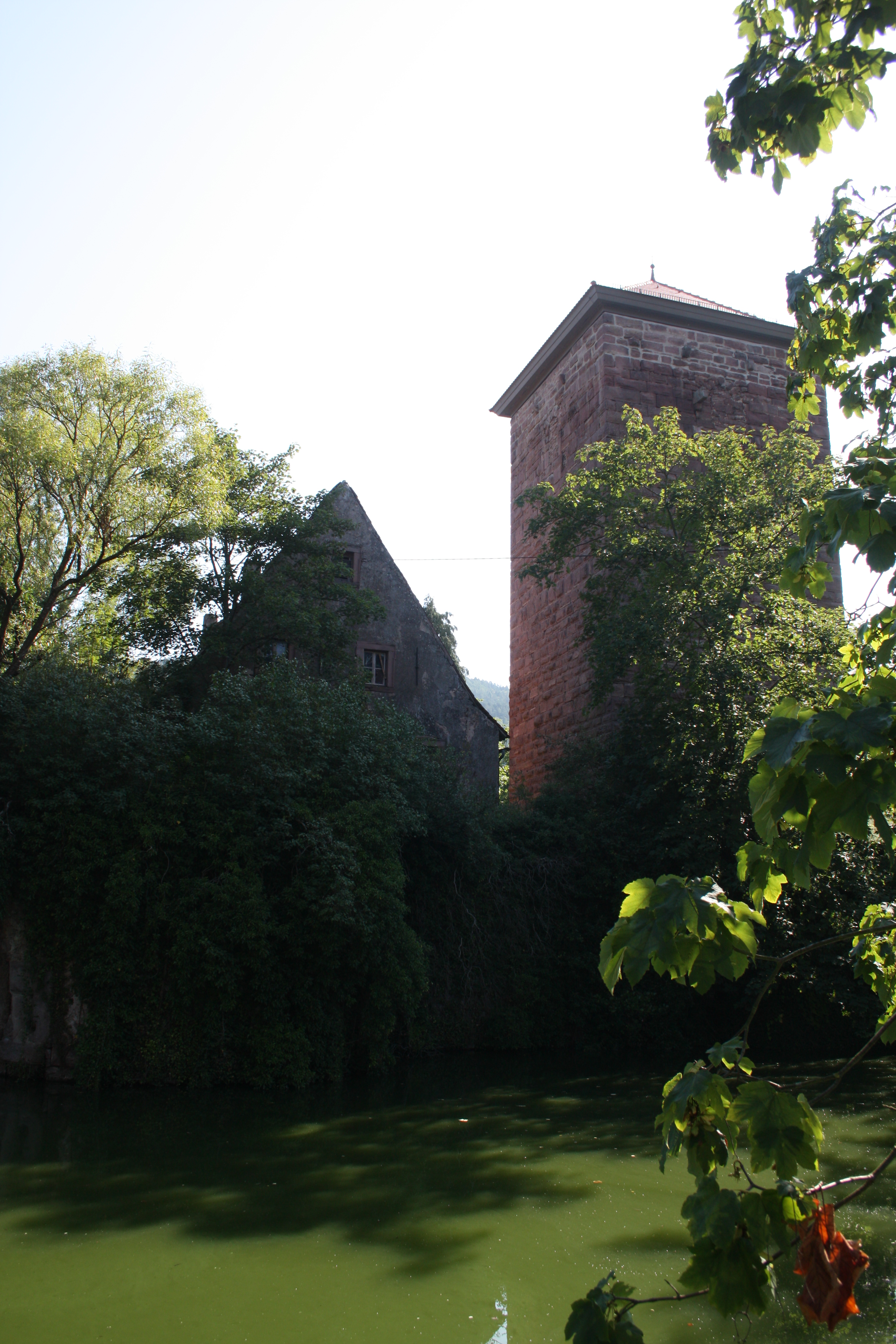 Burg Burgsinn.