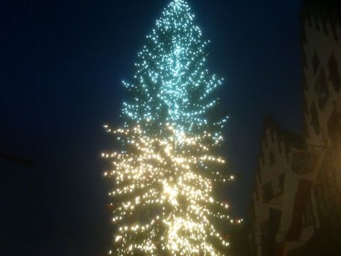 Der Weihnachtsbaum des Frankfurter Weihnachtsmarkts auf dem Römerplatz.
