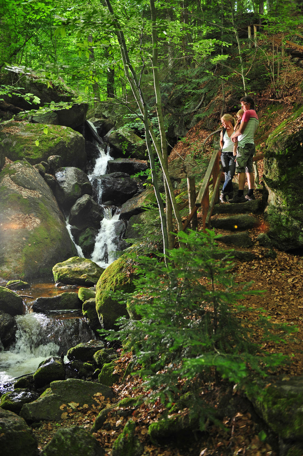 Das idyllische Ysper-Weitental in Niederösterreich.
