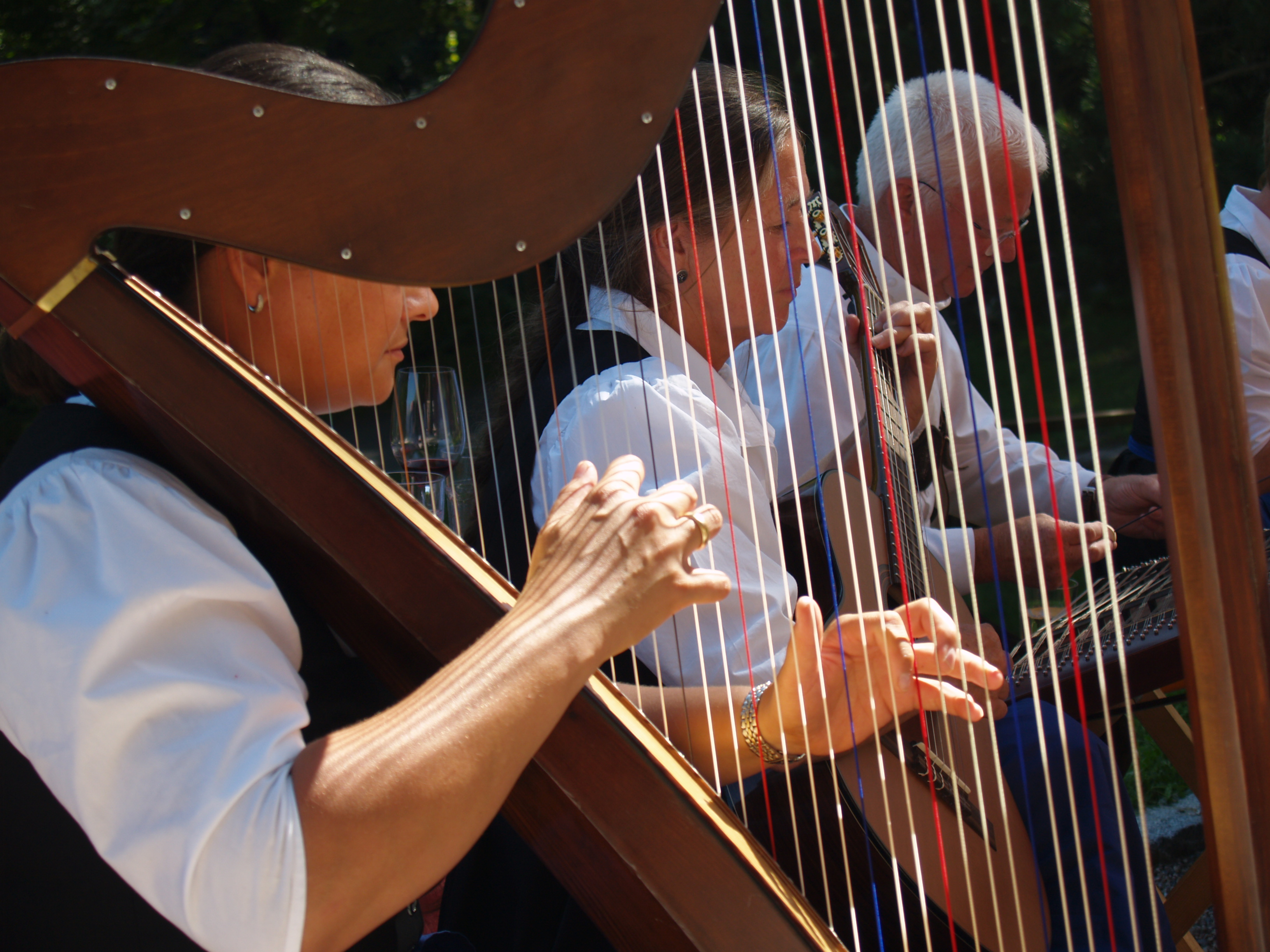 Zither und Hackbrett sind ein fester Bestandteil alpenländischer Musik.
